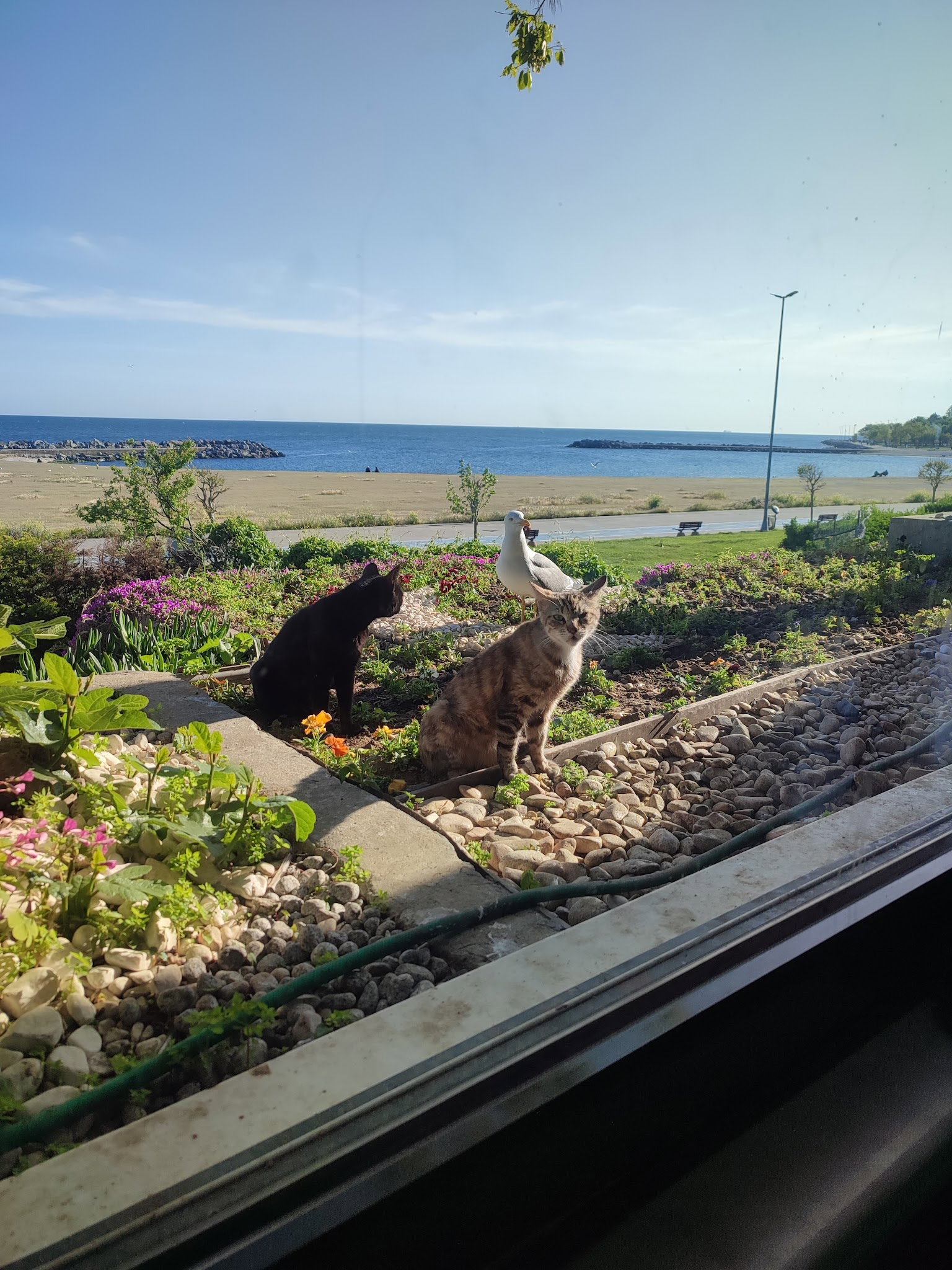 Fener Balık Lokantası