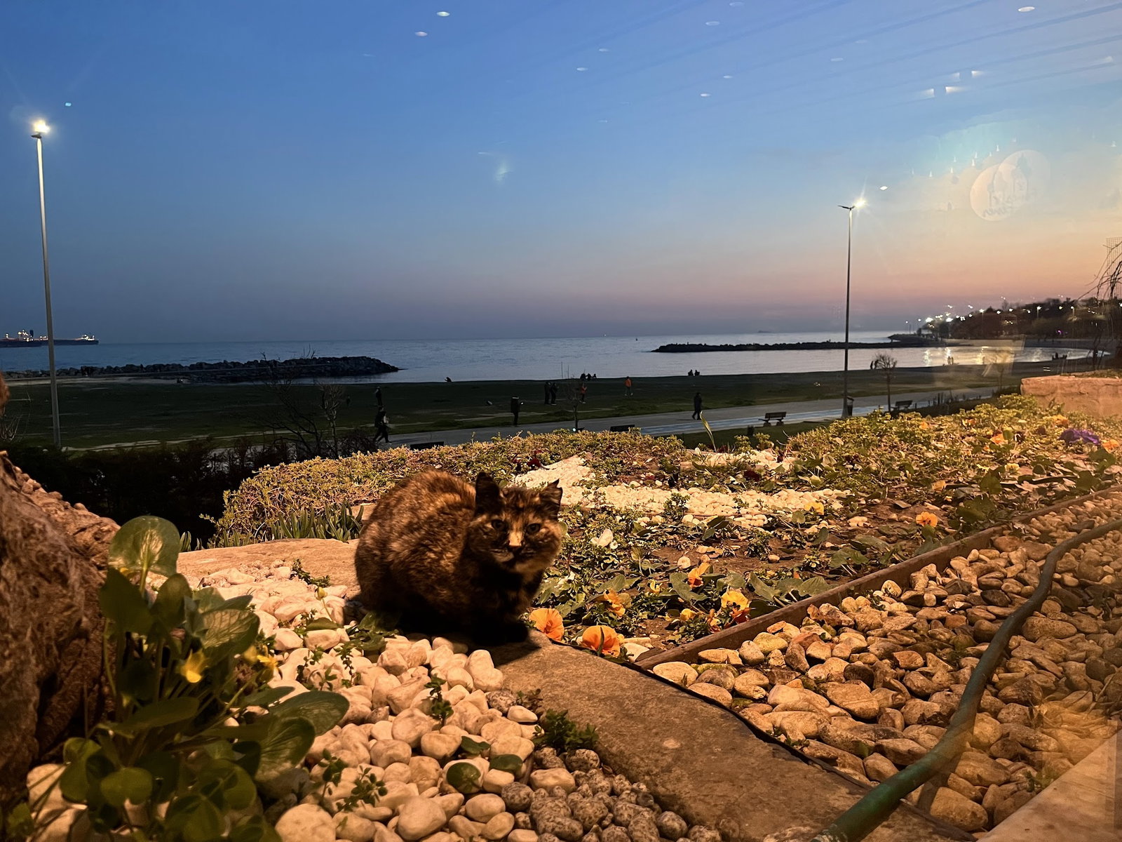 Fener Balık Lokantası