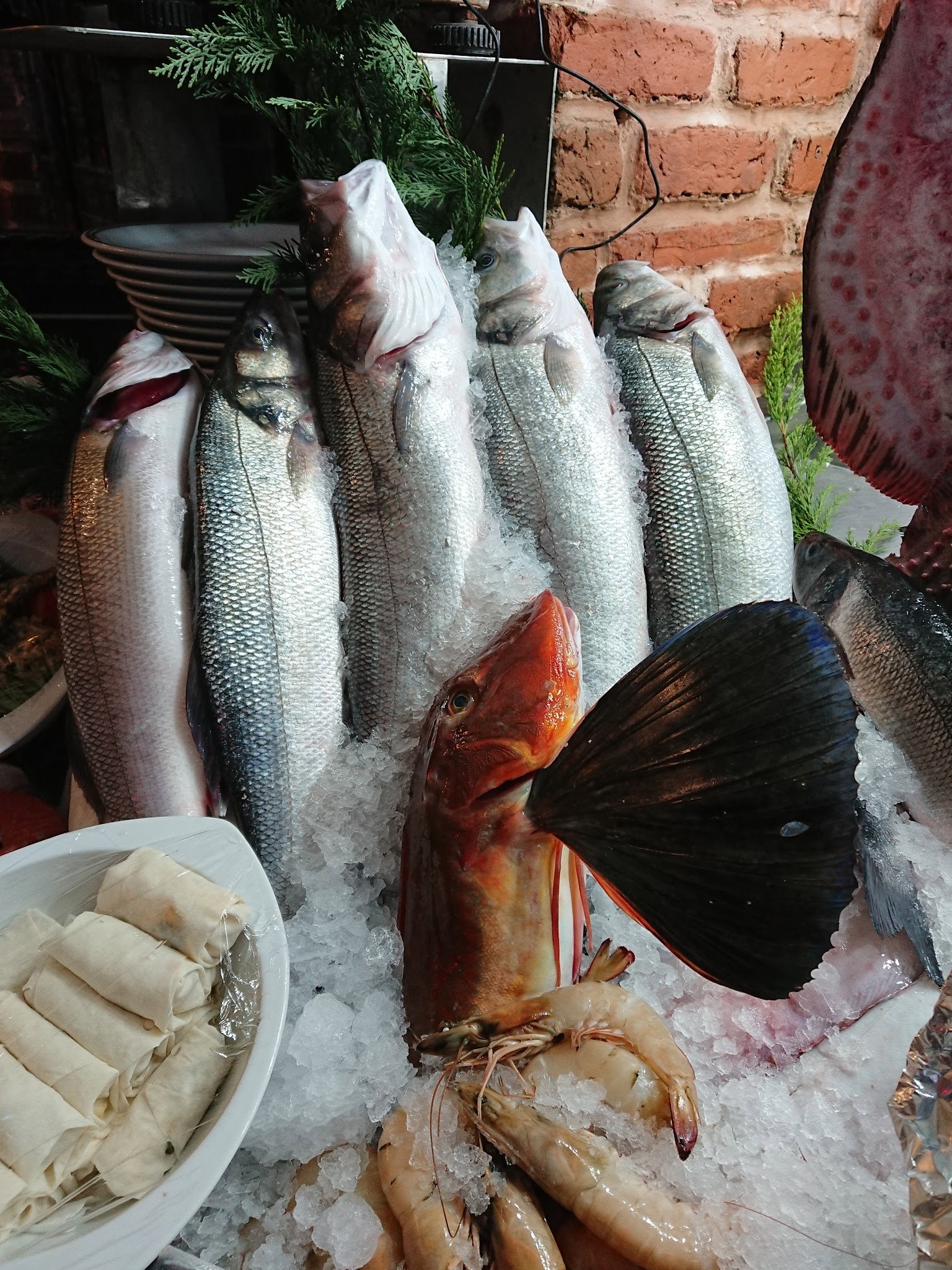 Fener Balık Lokantası