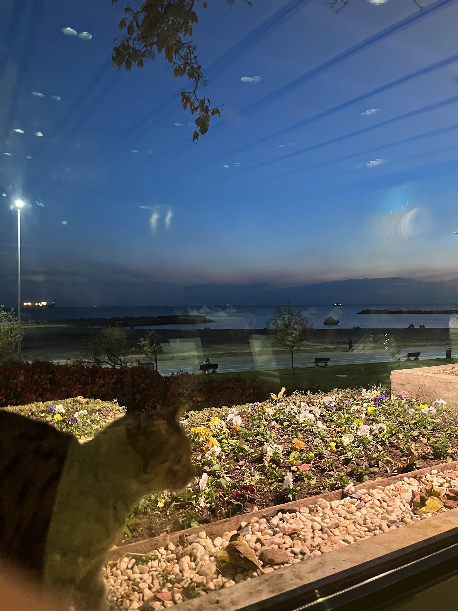 Fener Balık Lokantası