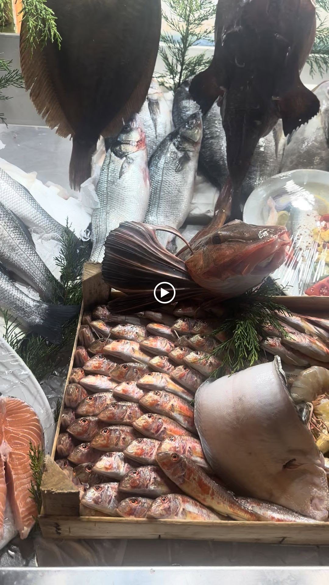 Fener Balık Lokantası