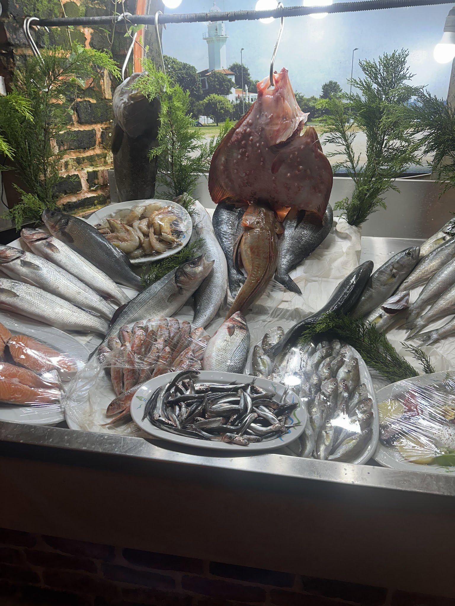 Fener Balık Lokantası