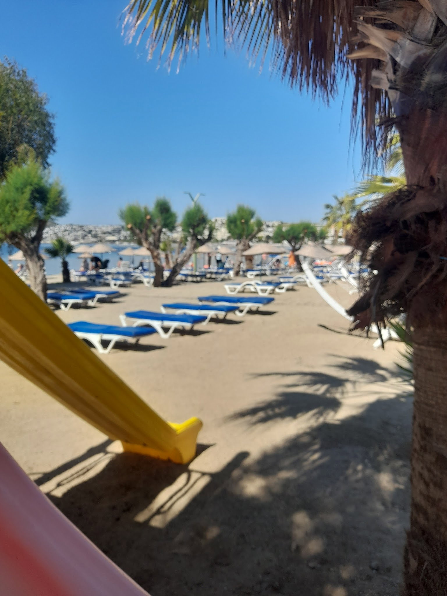 Carpe Diem Lounge & Restaurant