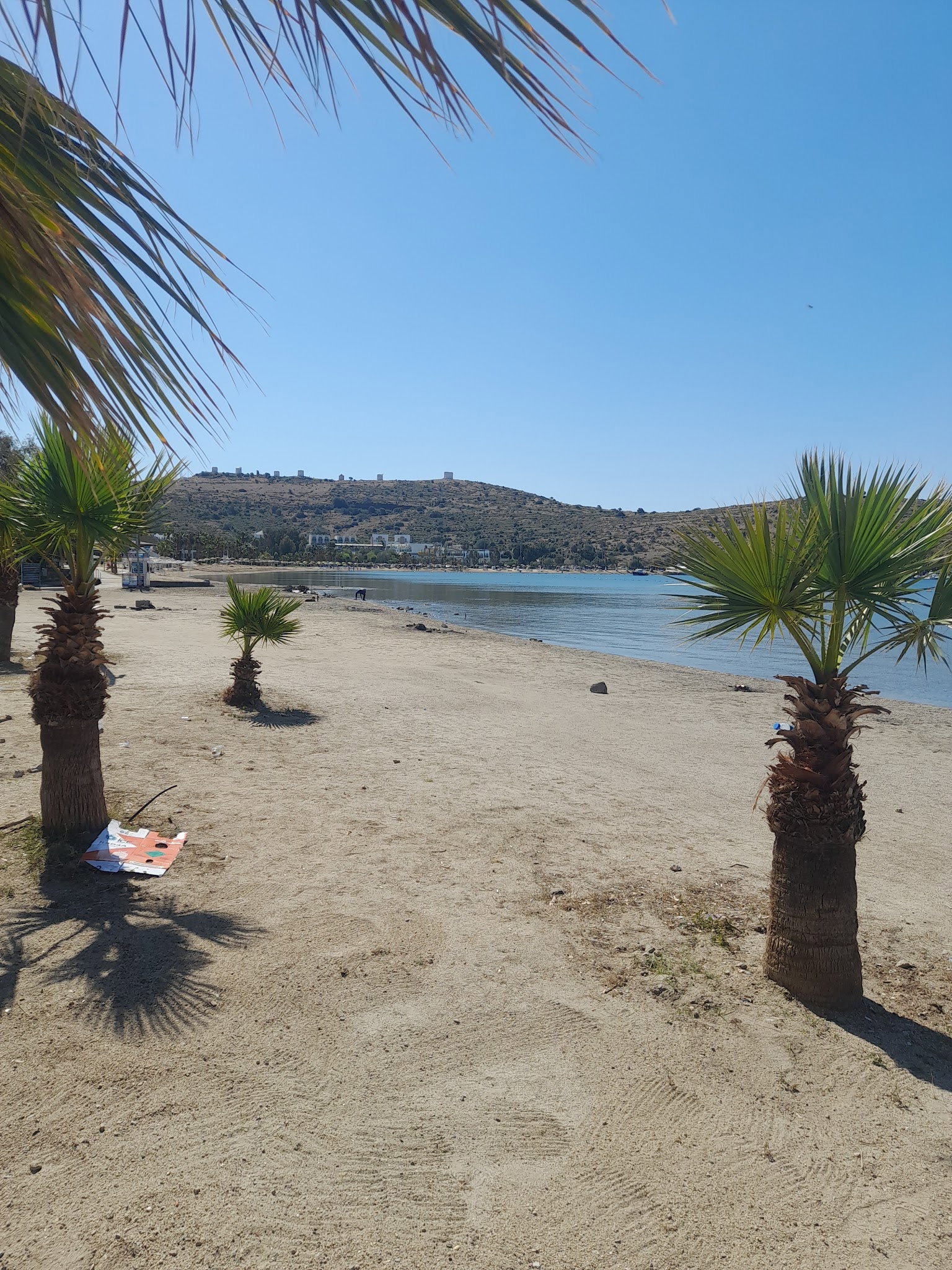 Carpe Diem Lounge & Restaurant