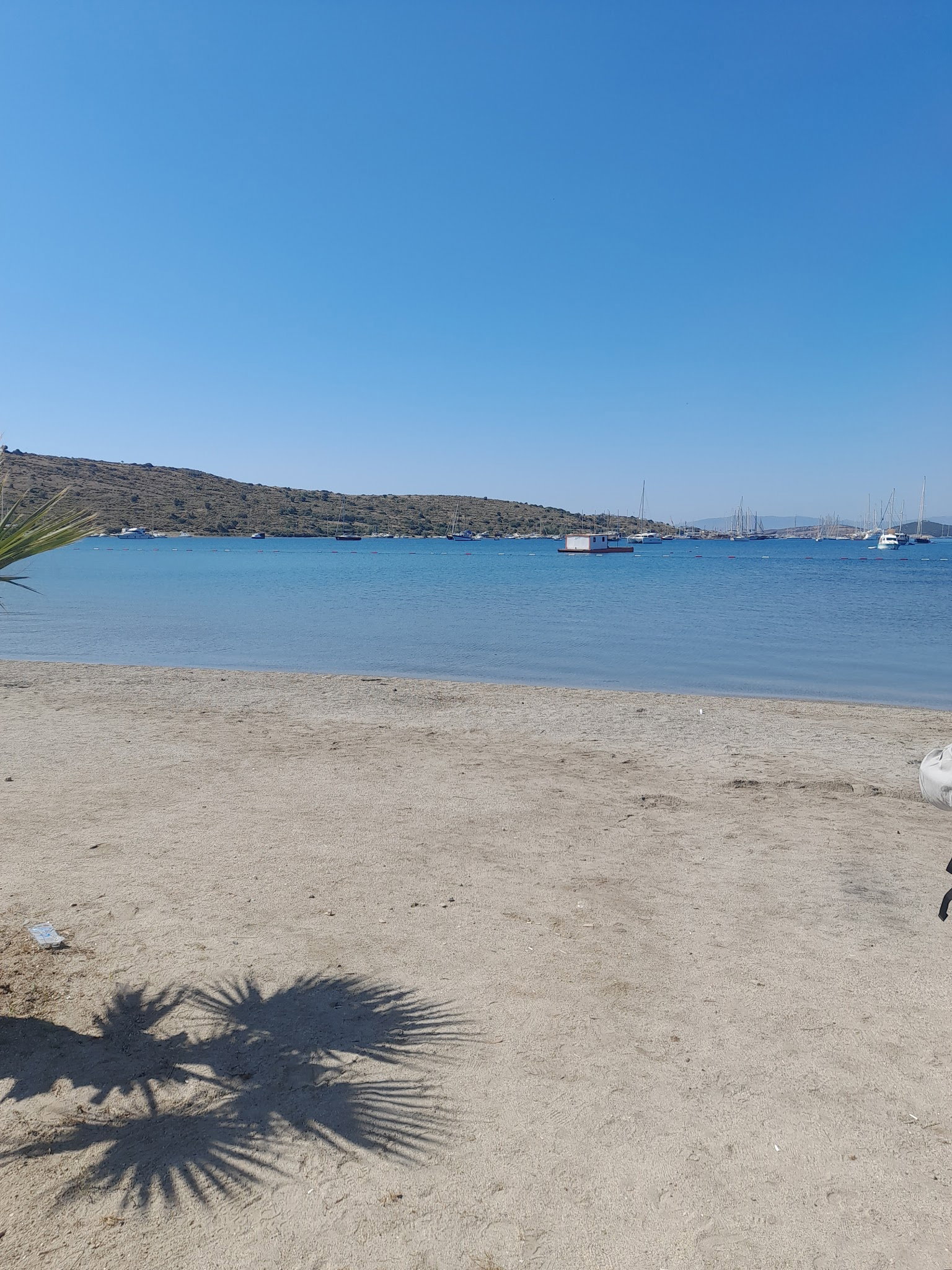 Carpe Diem Lounge & Restaurant