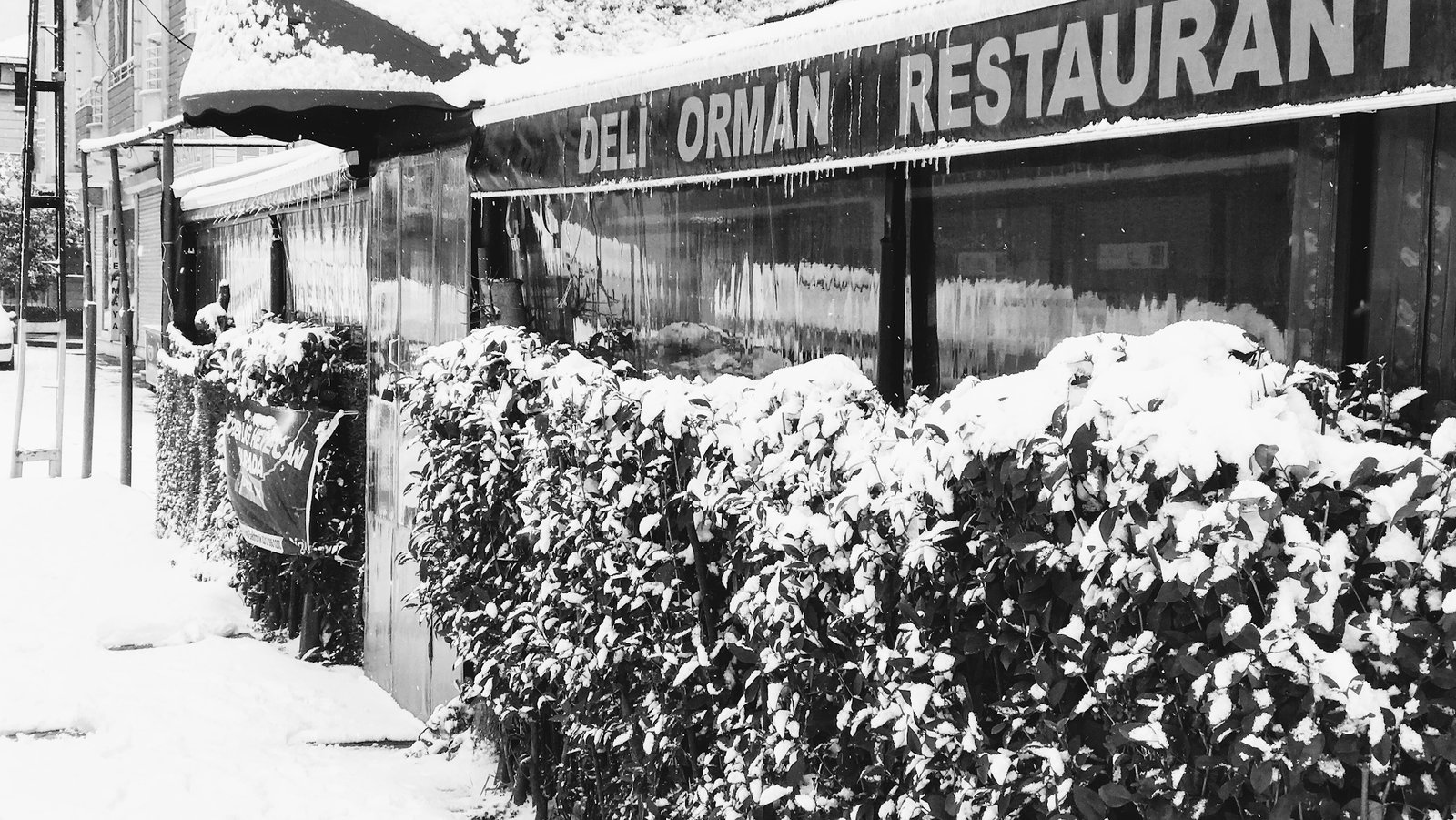 Deliorman Restaurant