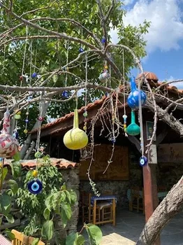 Zabun Hocanın Yeri resimleri