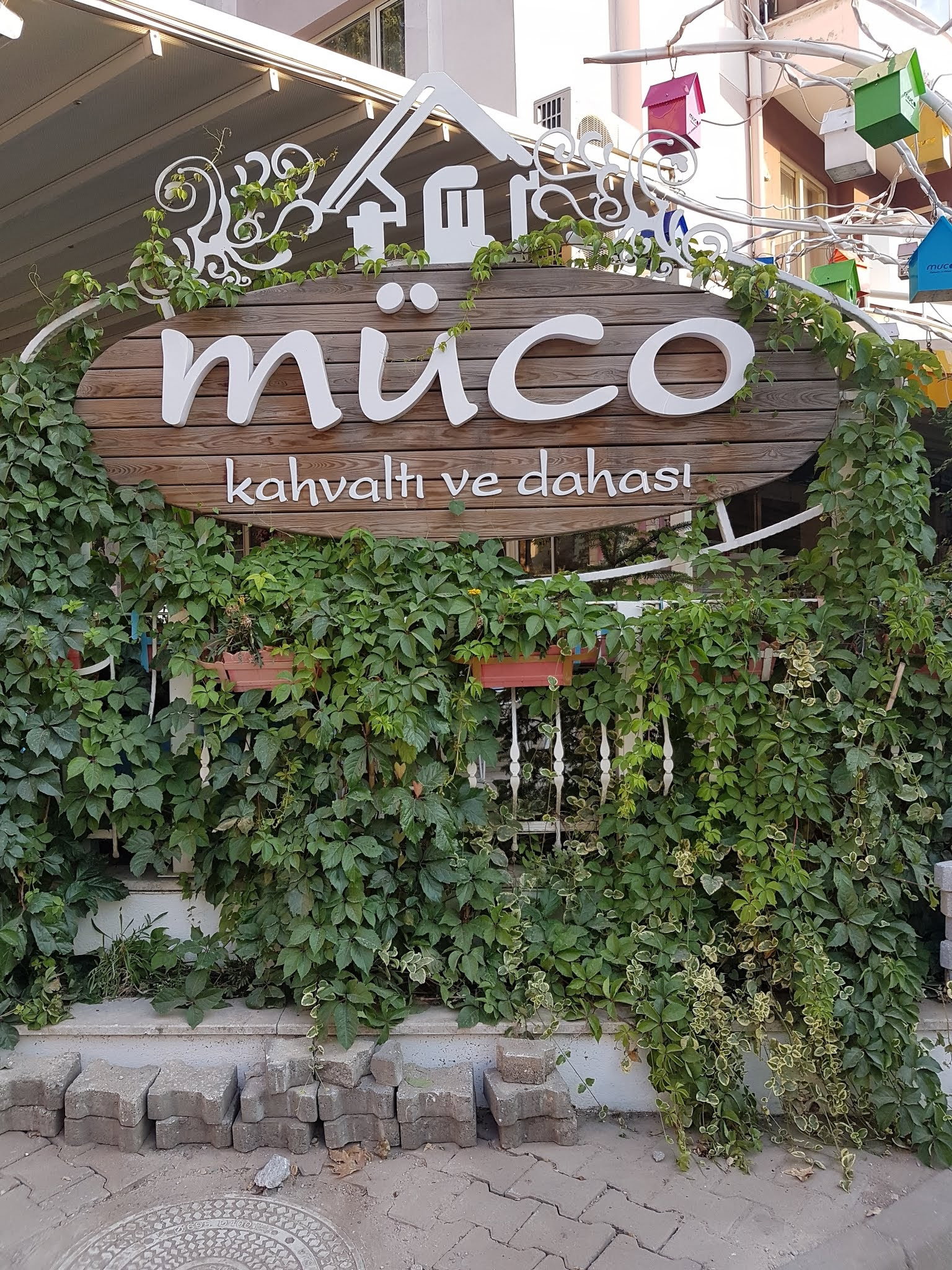 Müco Kahvaltı Ve Dahası