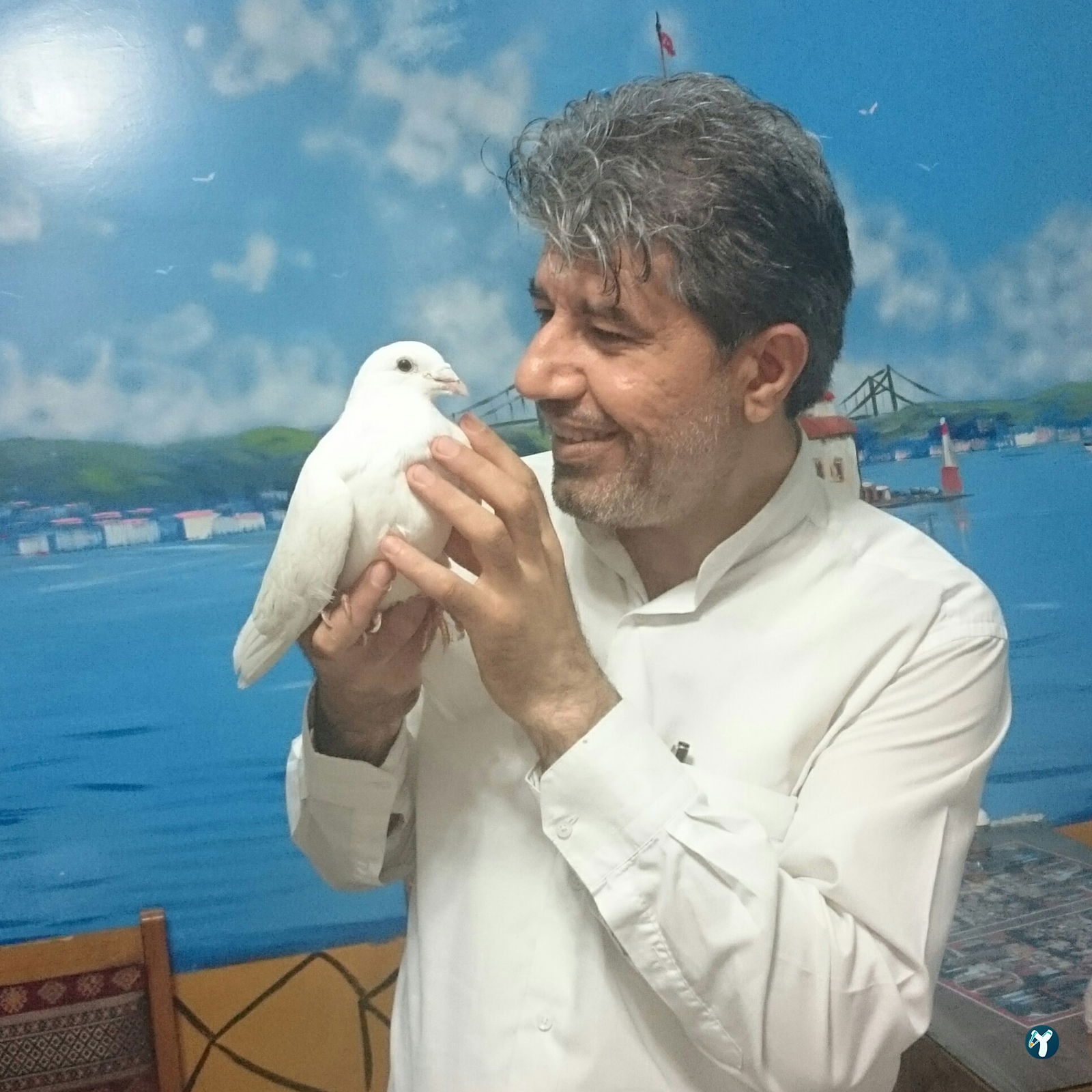 Harikases Çiğköfte Döner
