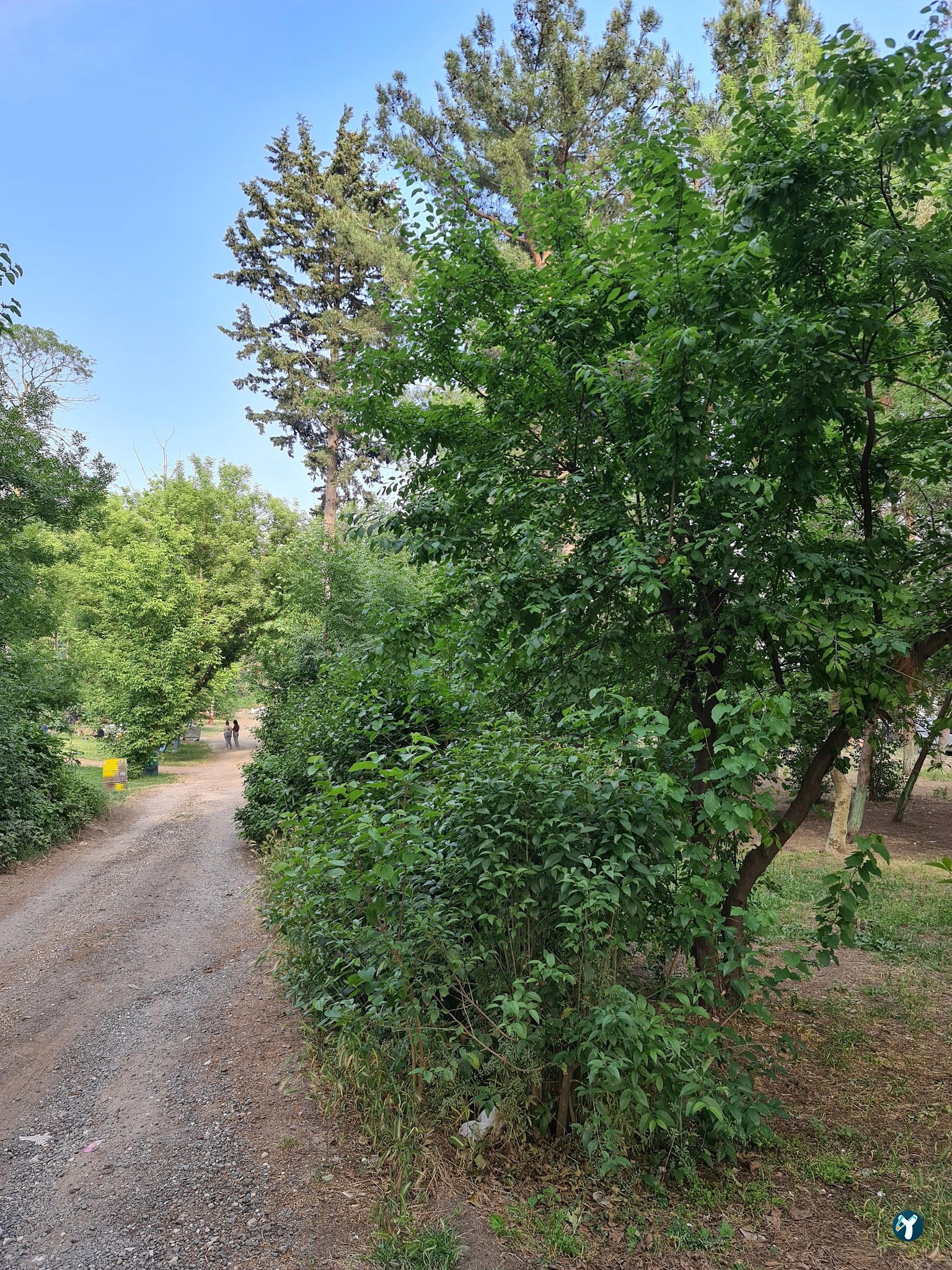 Silivri Muratçeşme Piknik Alanı