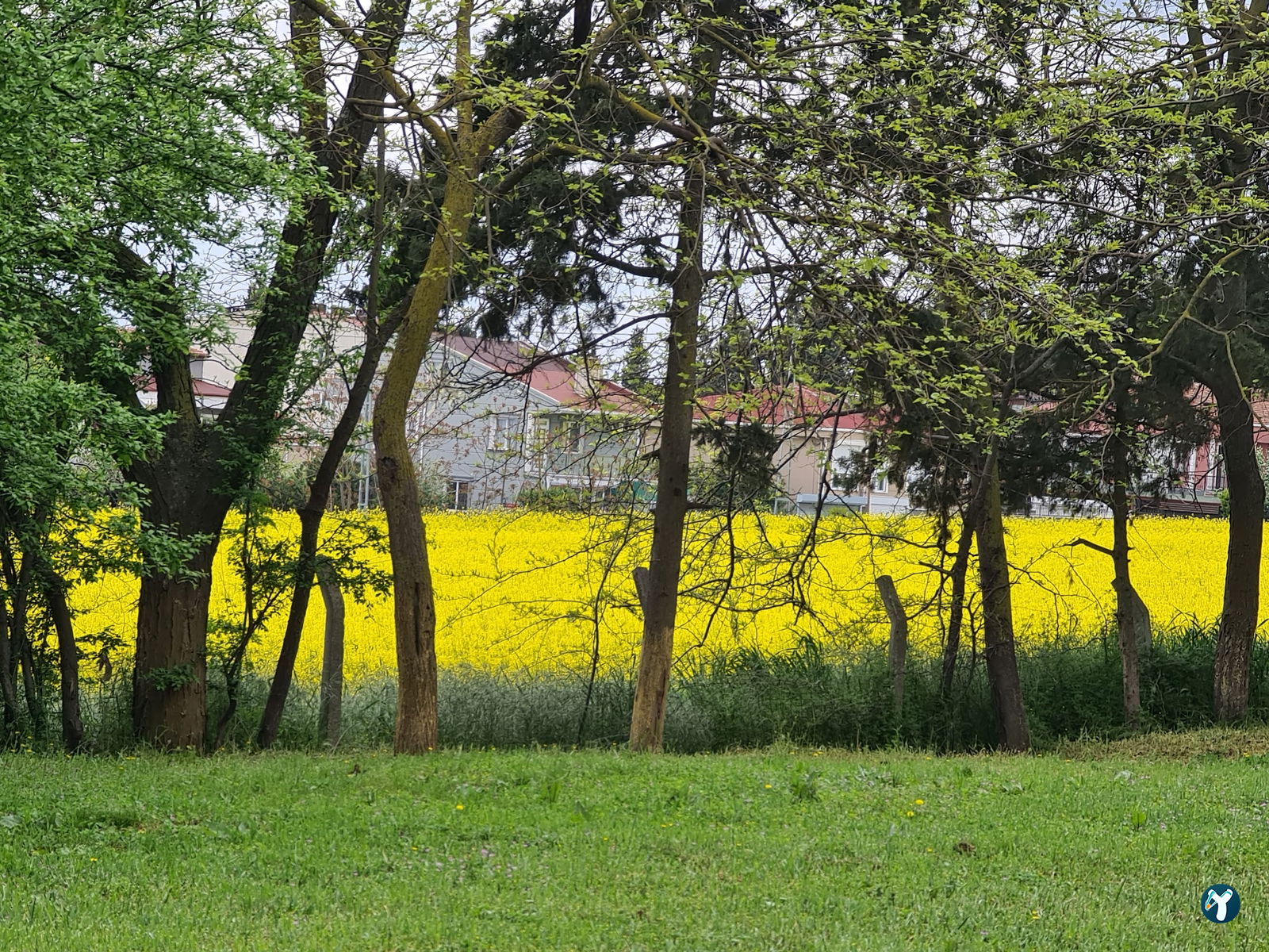 Silivri Muratçeşme Piknik Alanı