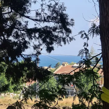 Silivri Muratçeşme Piknik Alanı resimleri