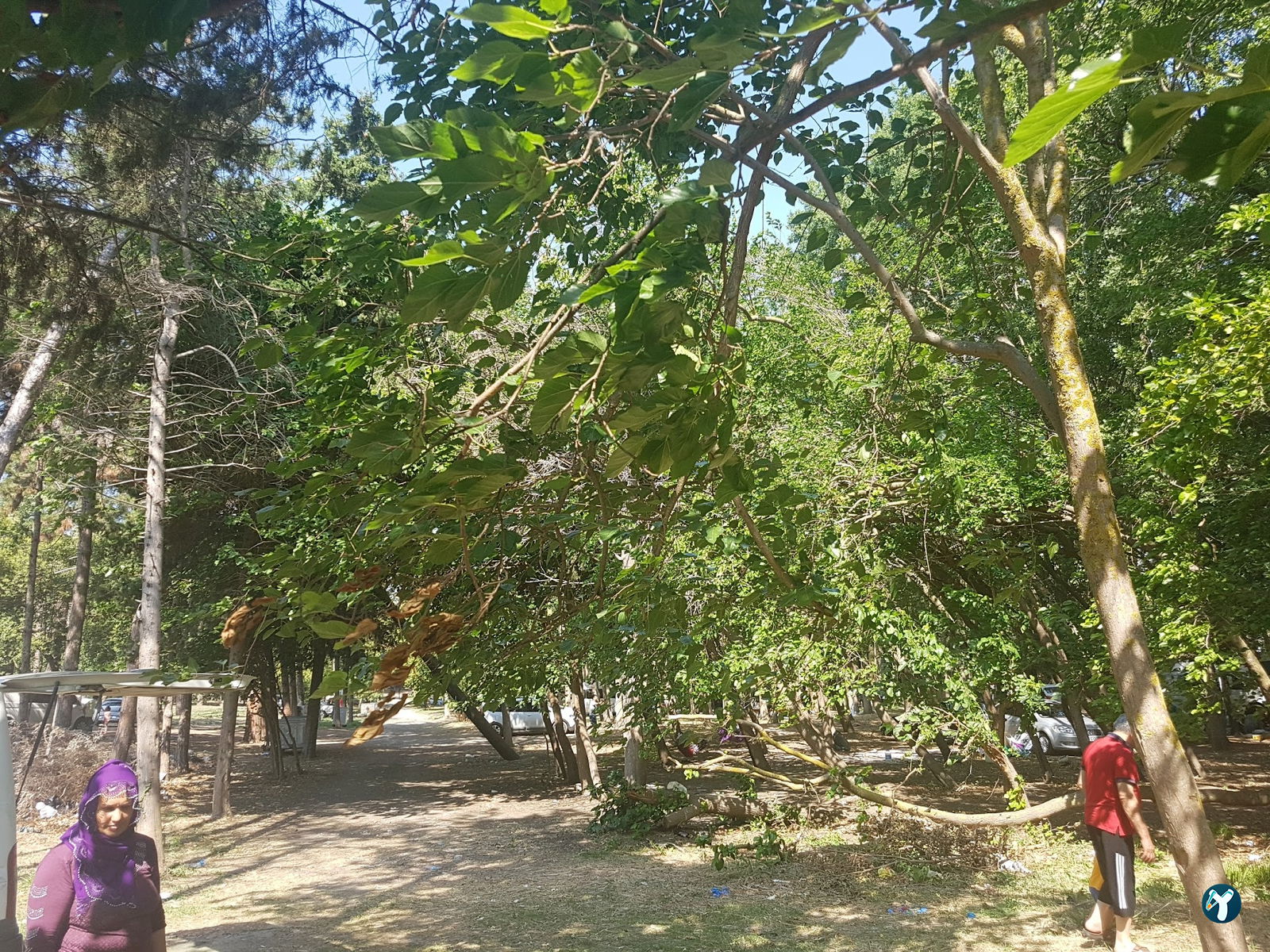 Silivri Muratçeşme Piknik Alanı