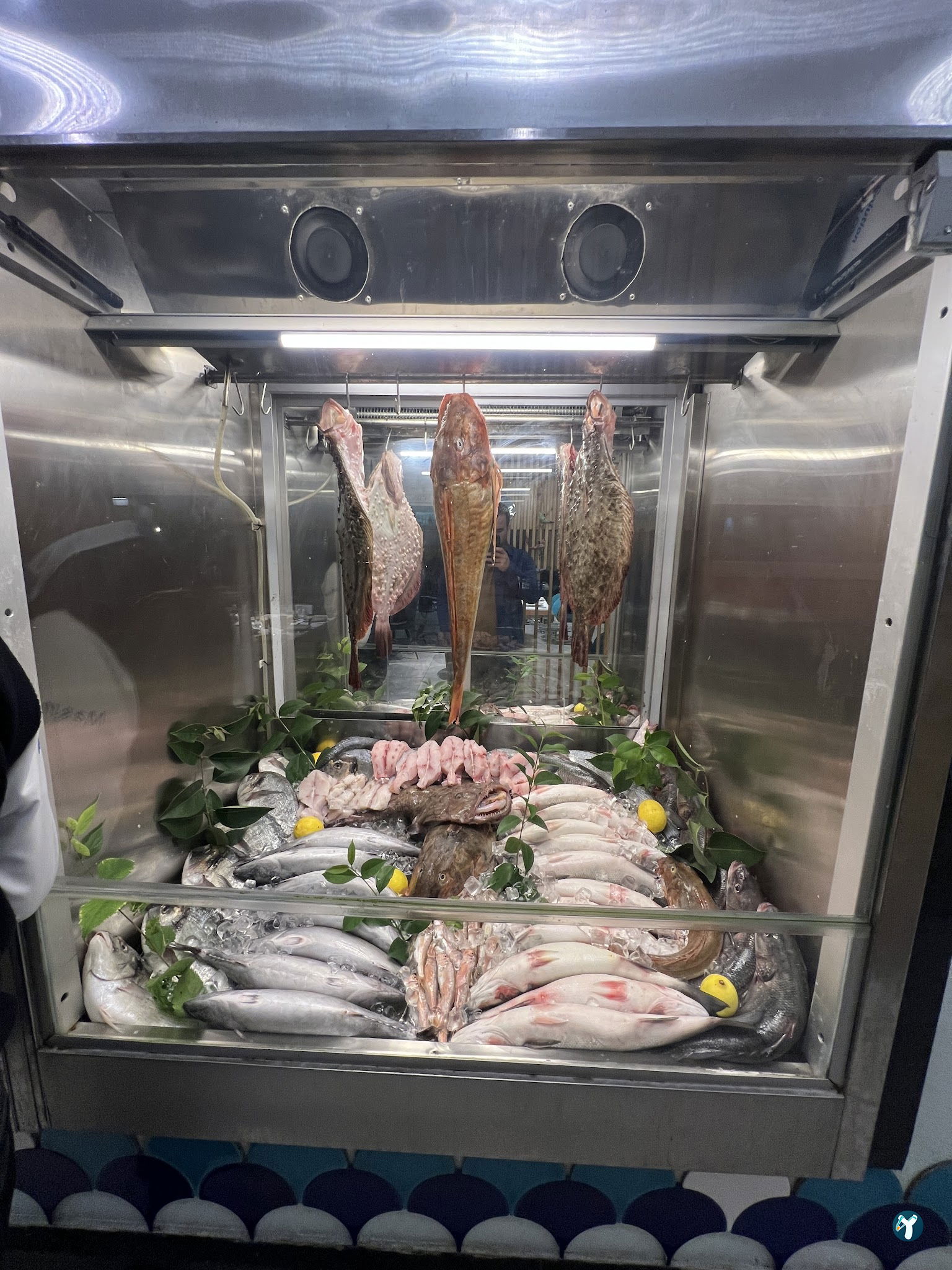 Masmavi Balık Restaurant Ataköy 2