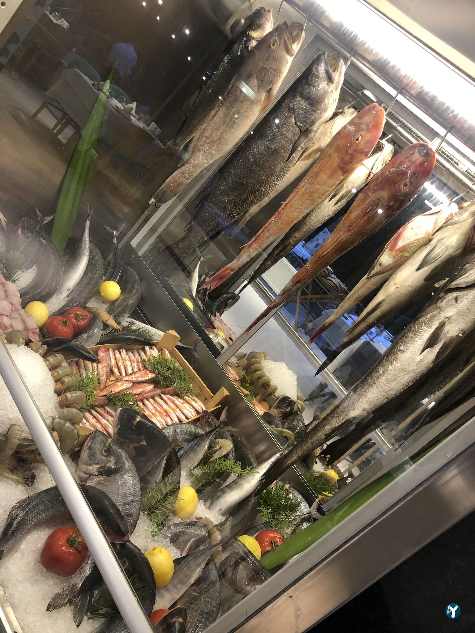 Masmavi Balık Restaurant Ataköy 2