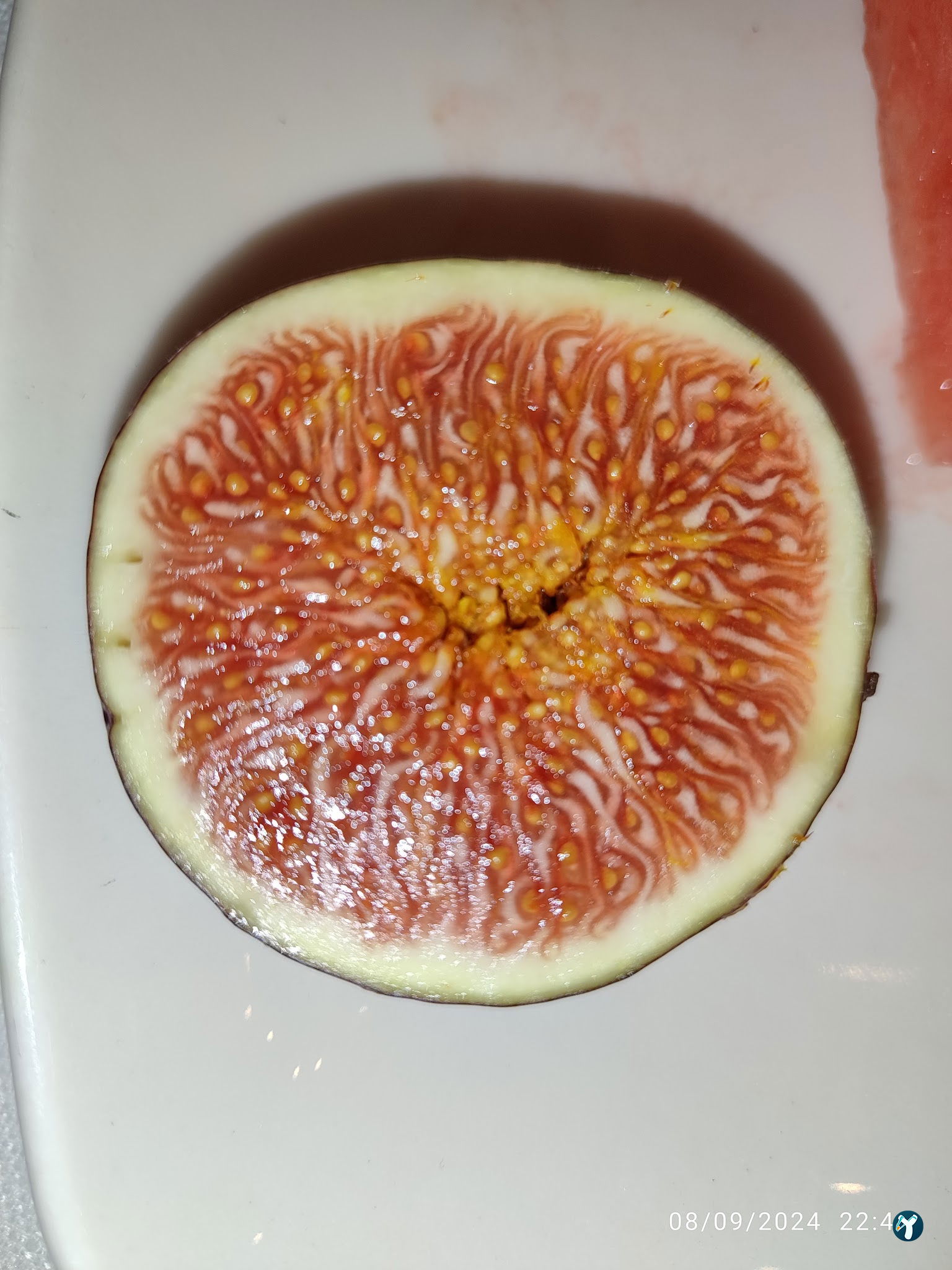 Masmavi Balık Restaurant Ataköy 2