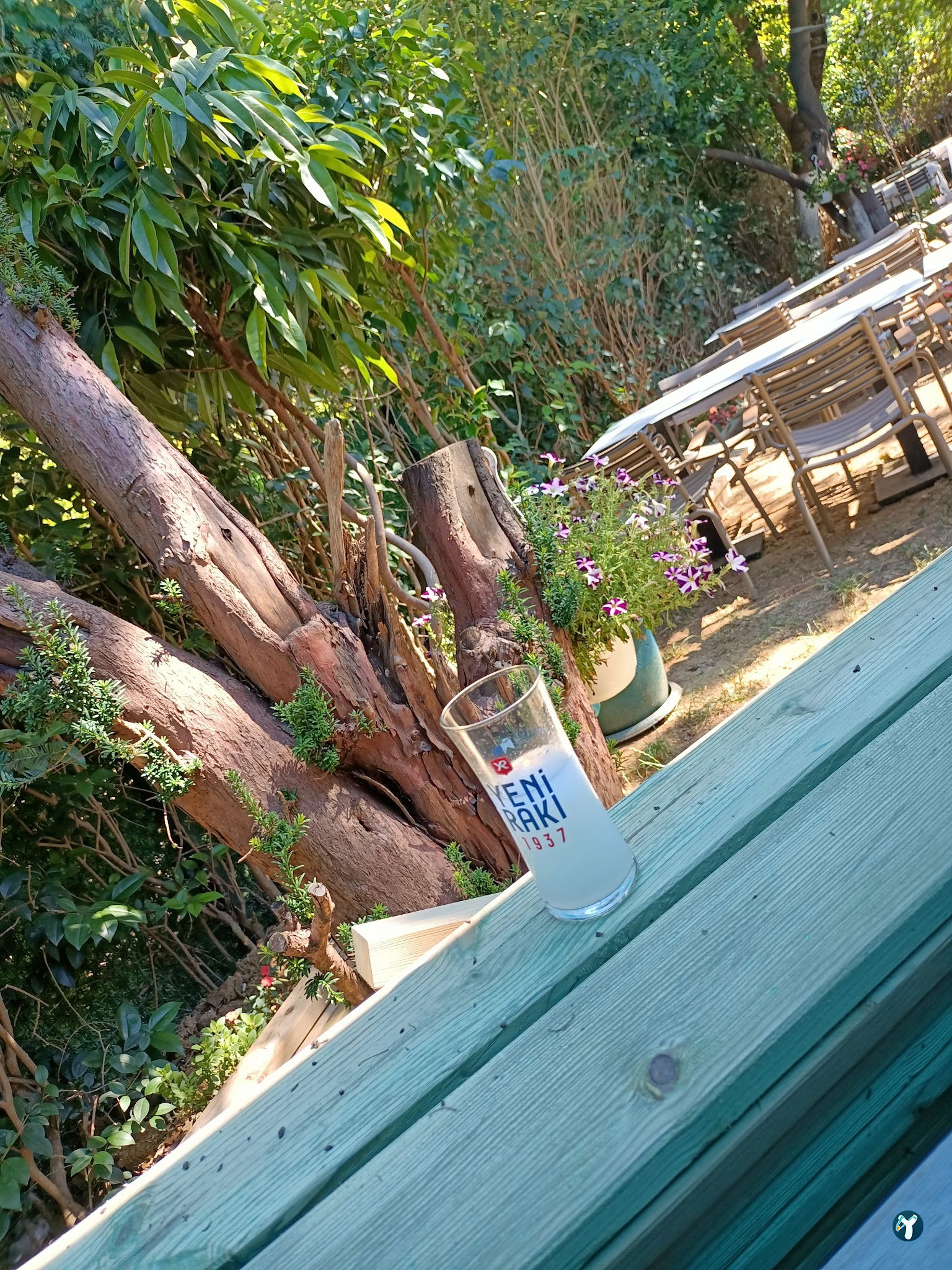 Masmavi Balık Restaurant Ataköy 2