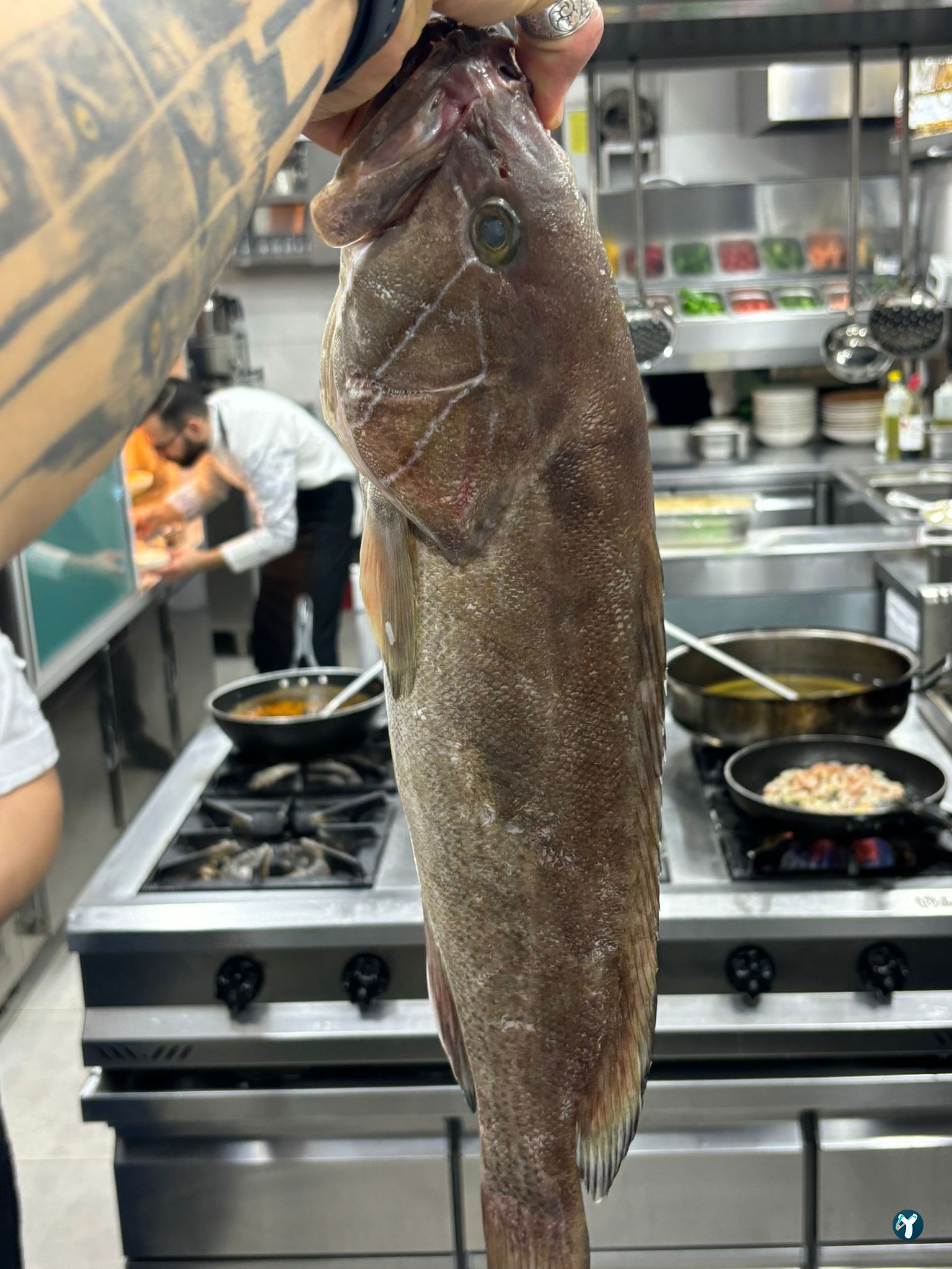 Masmavi Balık Restaurant Ataköy 2