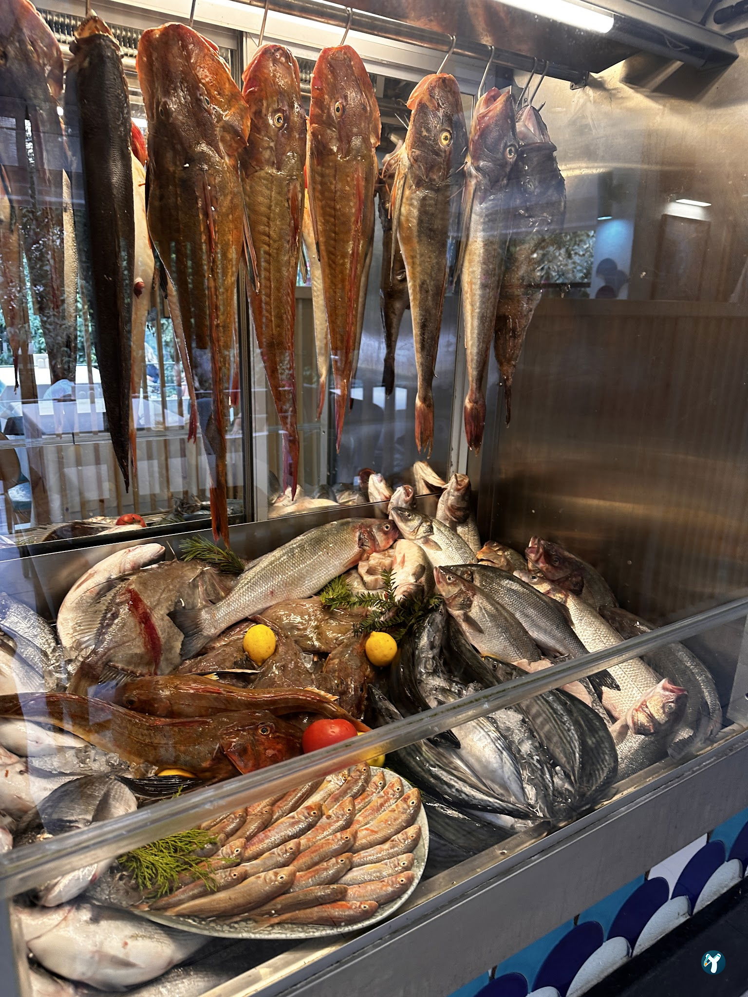 Masmavi Balık Restaurant Ataköy 2