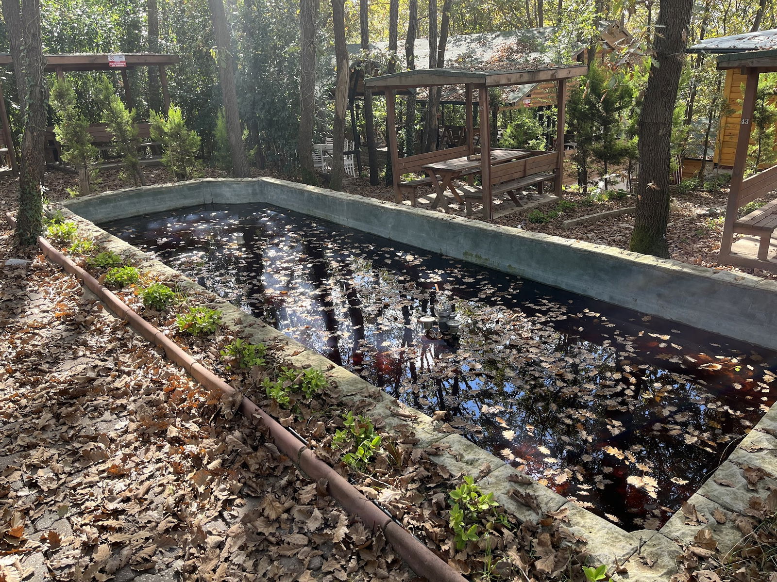 Sihirli Bahce Kirevi