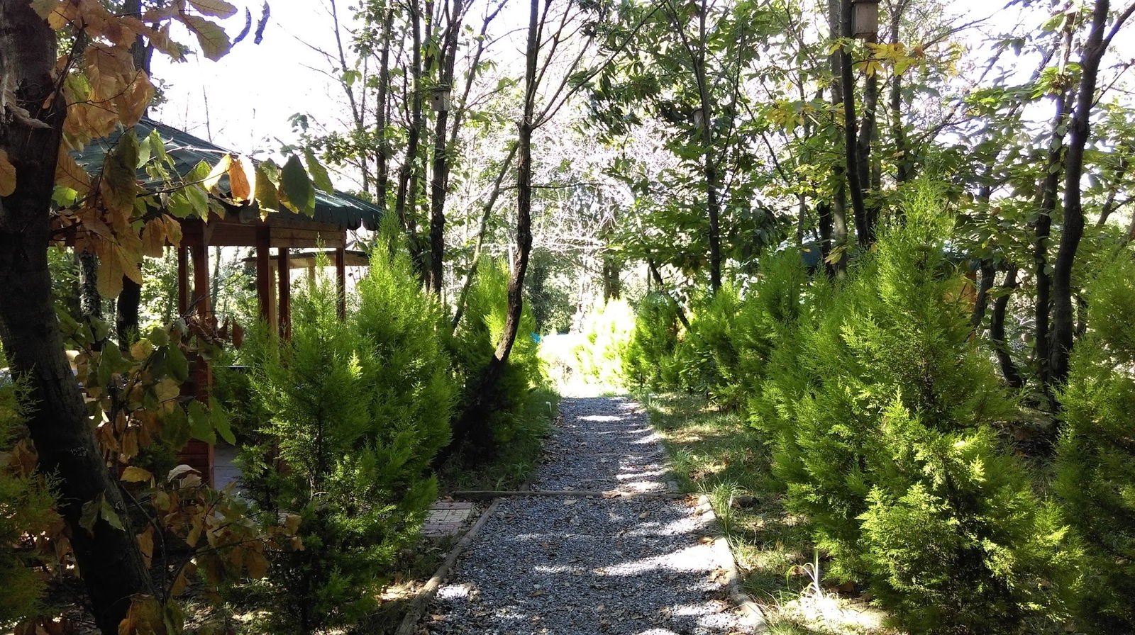 Sihirli Bahce Kirevi