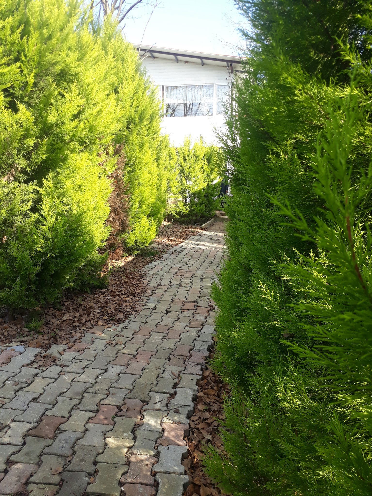 Sihirli Bahce Kirevi