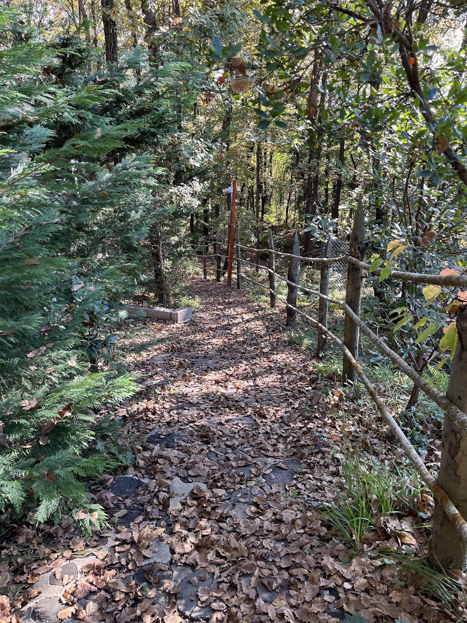 Sihirli Bahce Kirevi