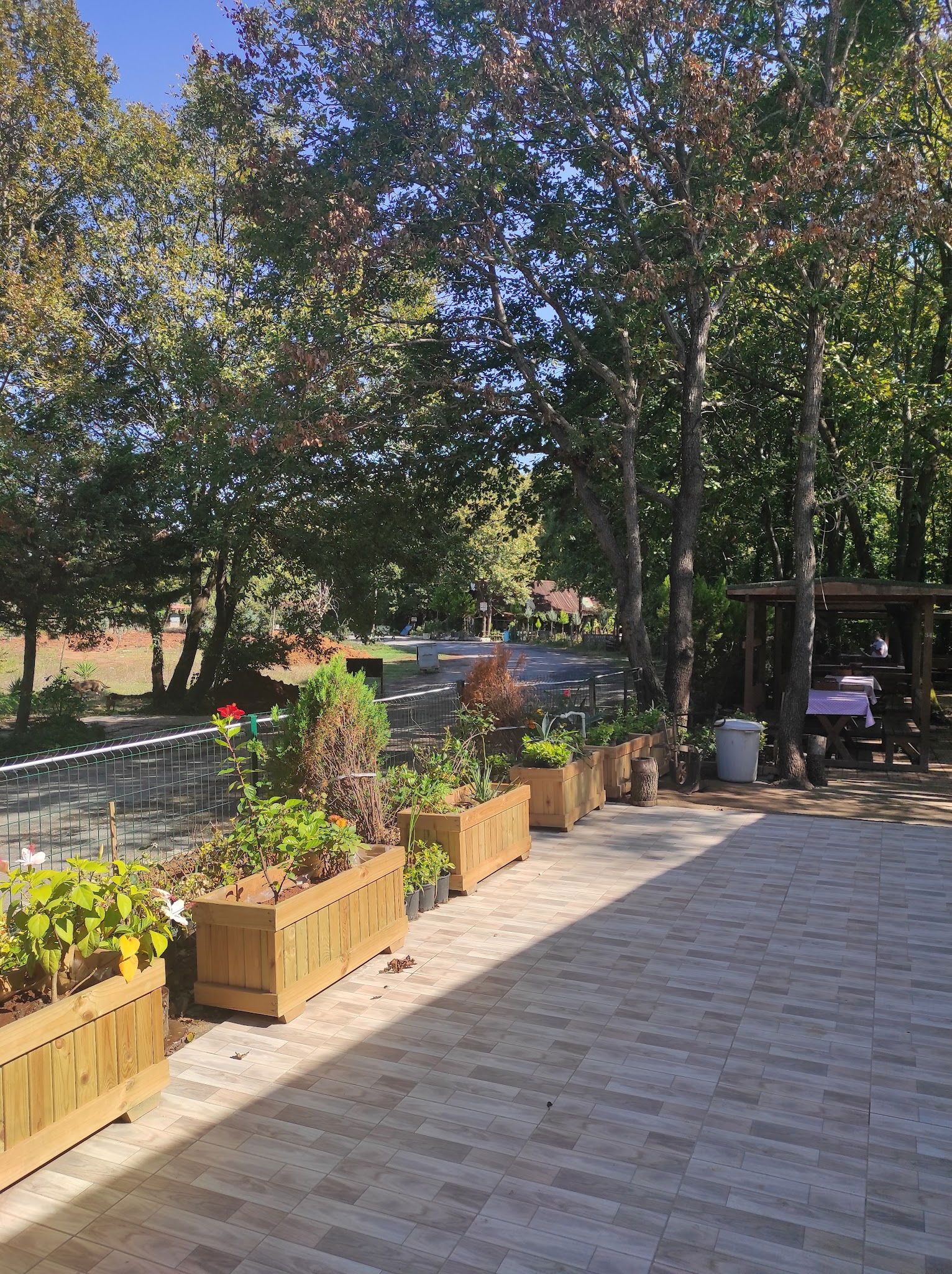 Sihirli Bahce Kirevi