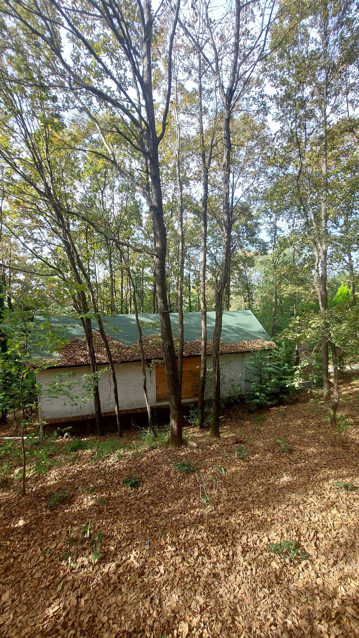 Sihirli Bahce Kirevi