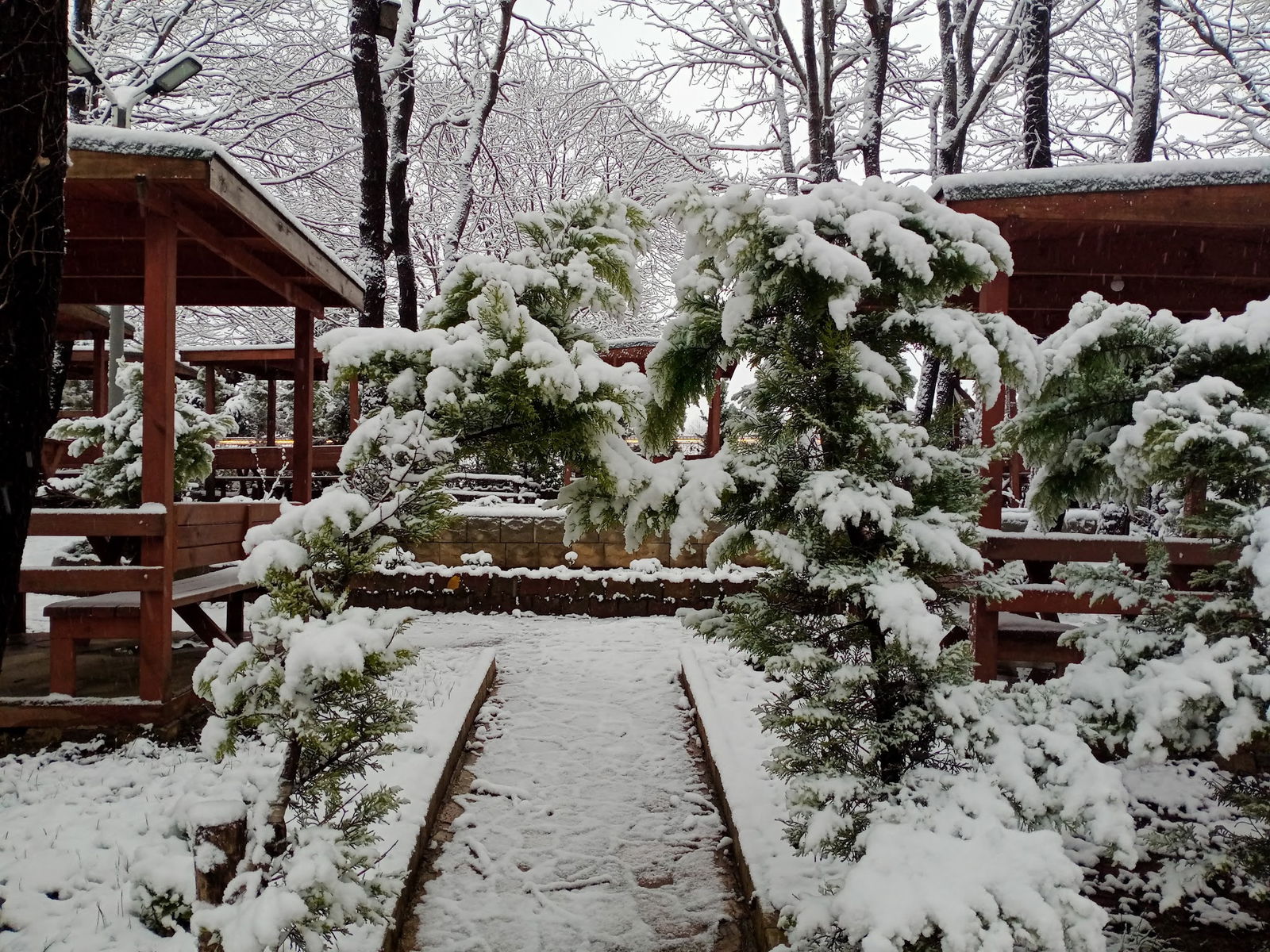 Sihirli Bahce Kirevi