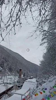 Tatlıses Çiğköfte resimleri