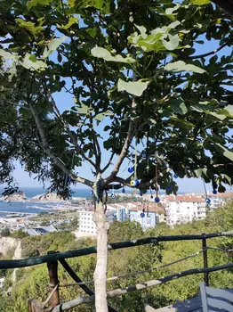 Ütopya Çay Bahçesi resimleri Ütopya Çay Bahçesi resimleri