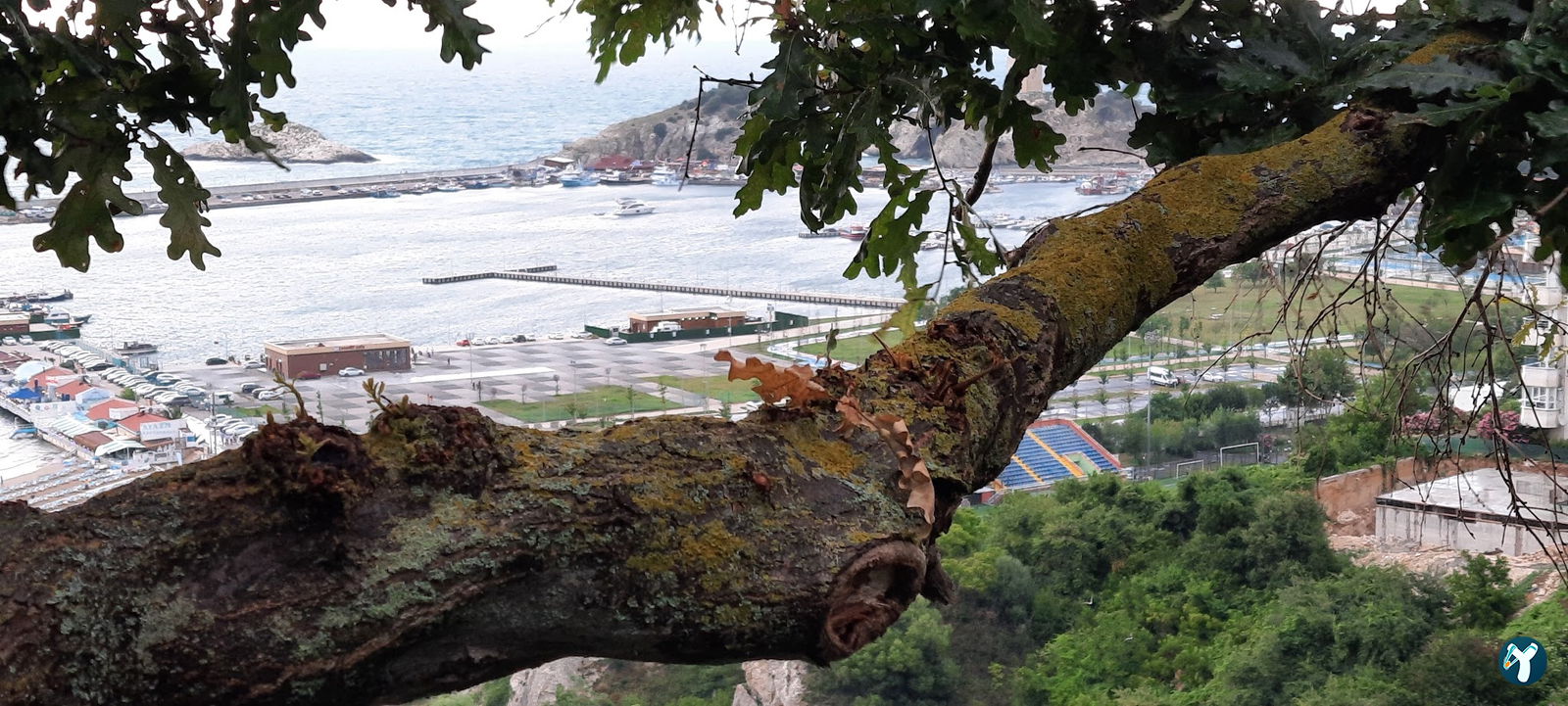 Ütopya Çay Bahçesi
