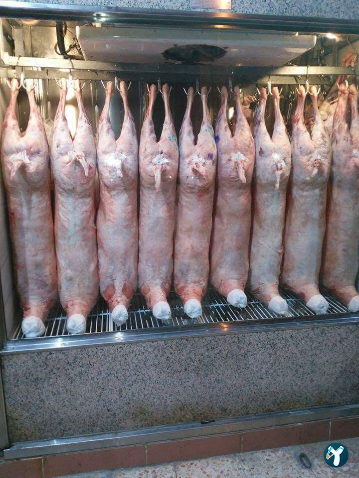 Bir Kuzu İstiyorum - Geylani Et Market Mangal