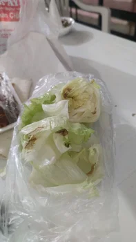 Ömer Aybak resimleri