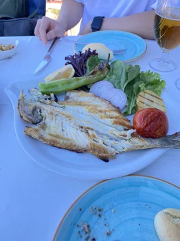 Turk Art Terrace Restaurant resimleri