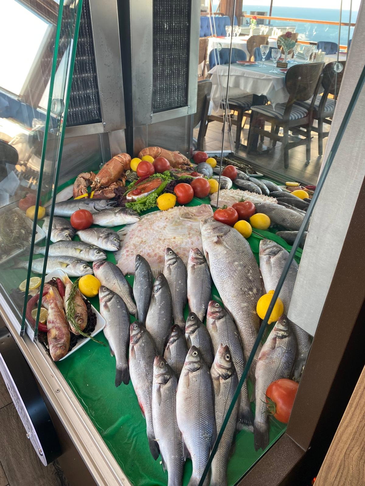 Turk Art Terrace Restaurant