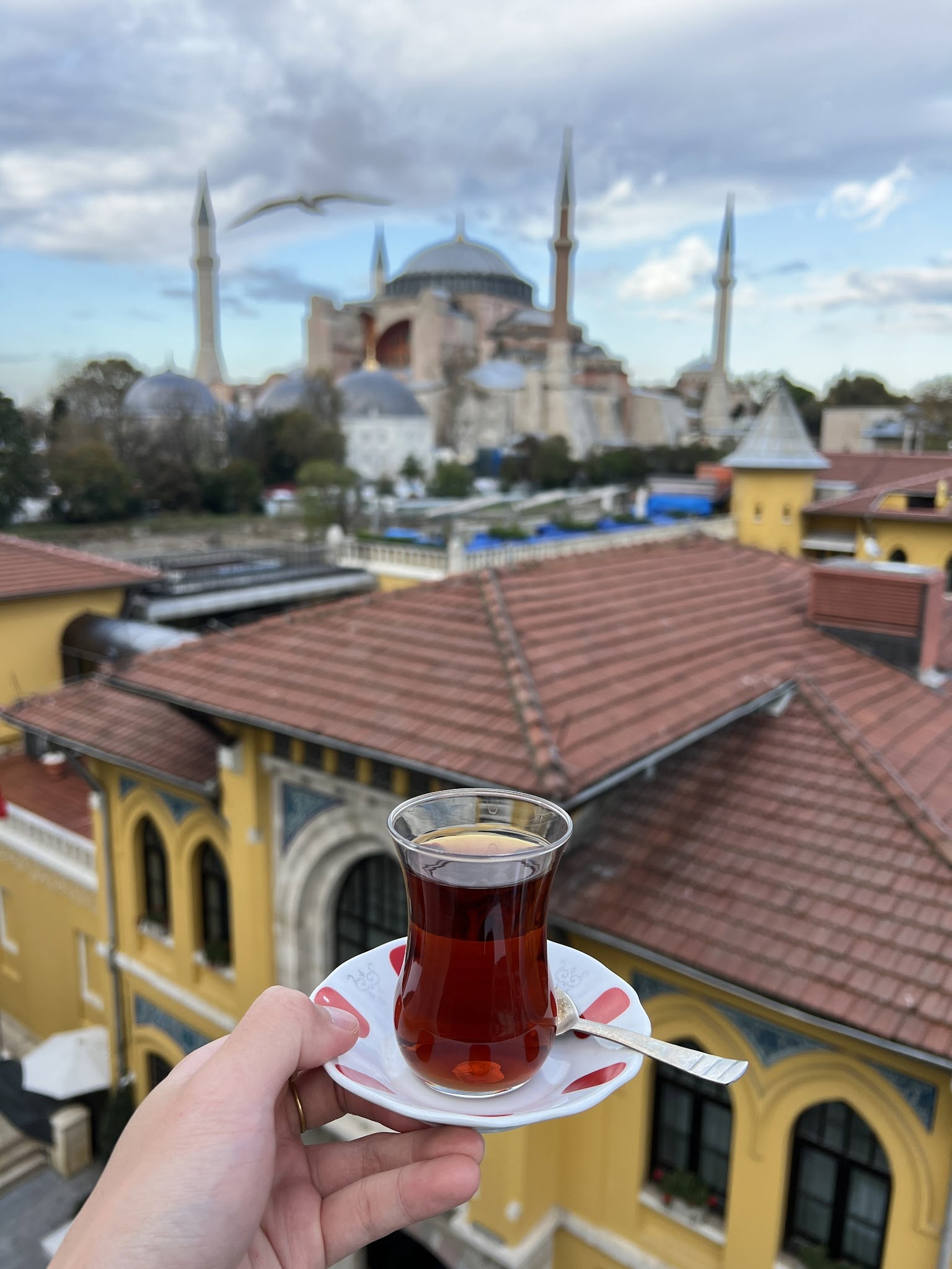 Turk Art Terrace Restaurant