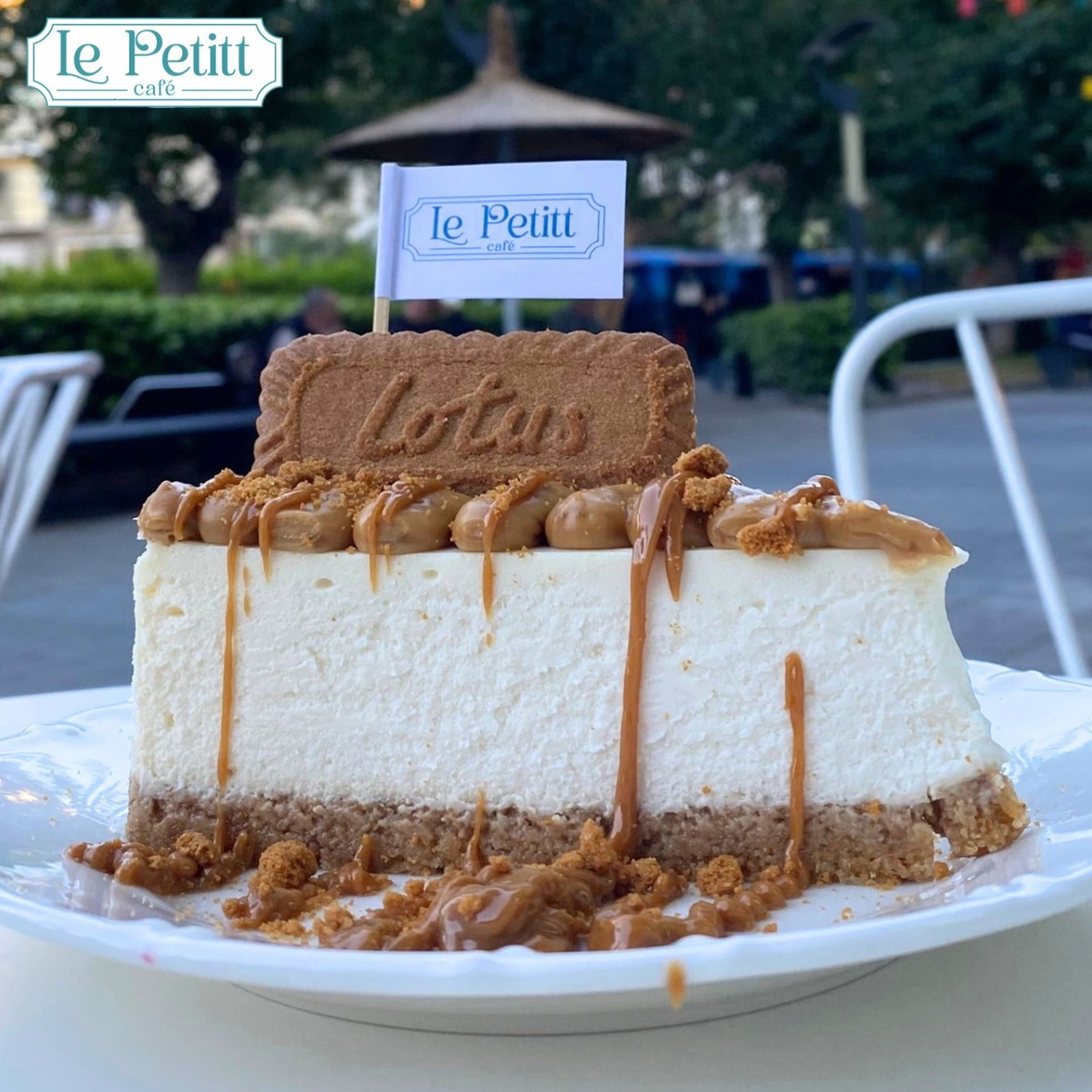 Lotus Cheesecake