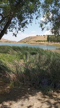 Gölbahçesi resimleri