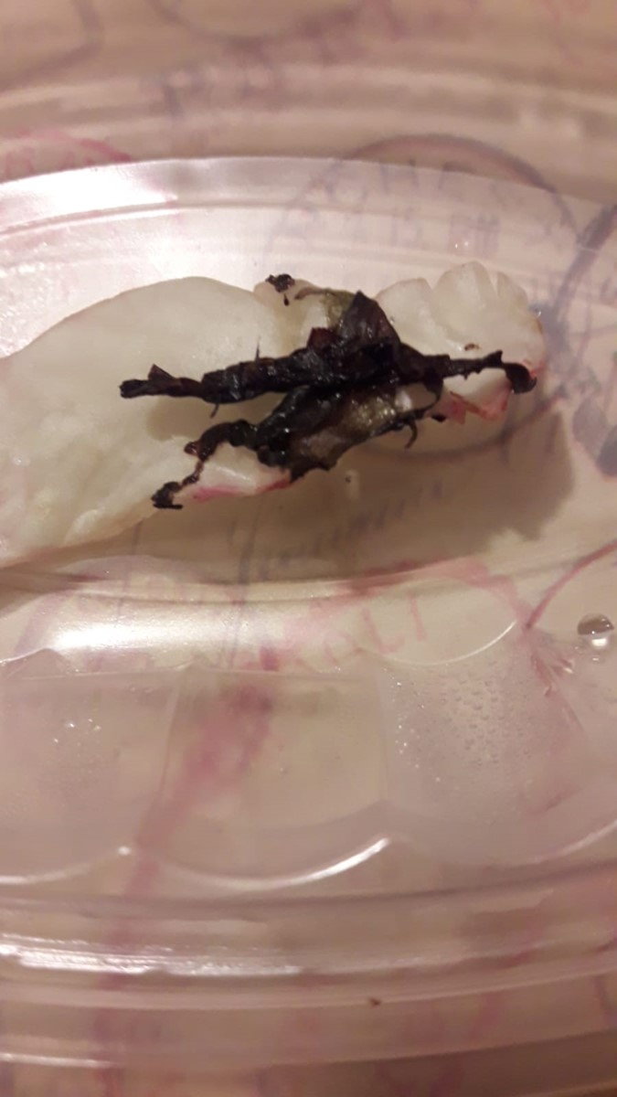 Chicken Suit, Ataköy Piliç Çevirme