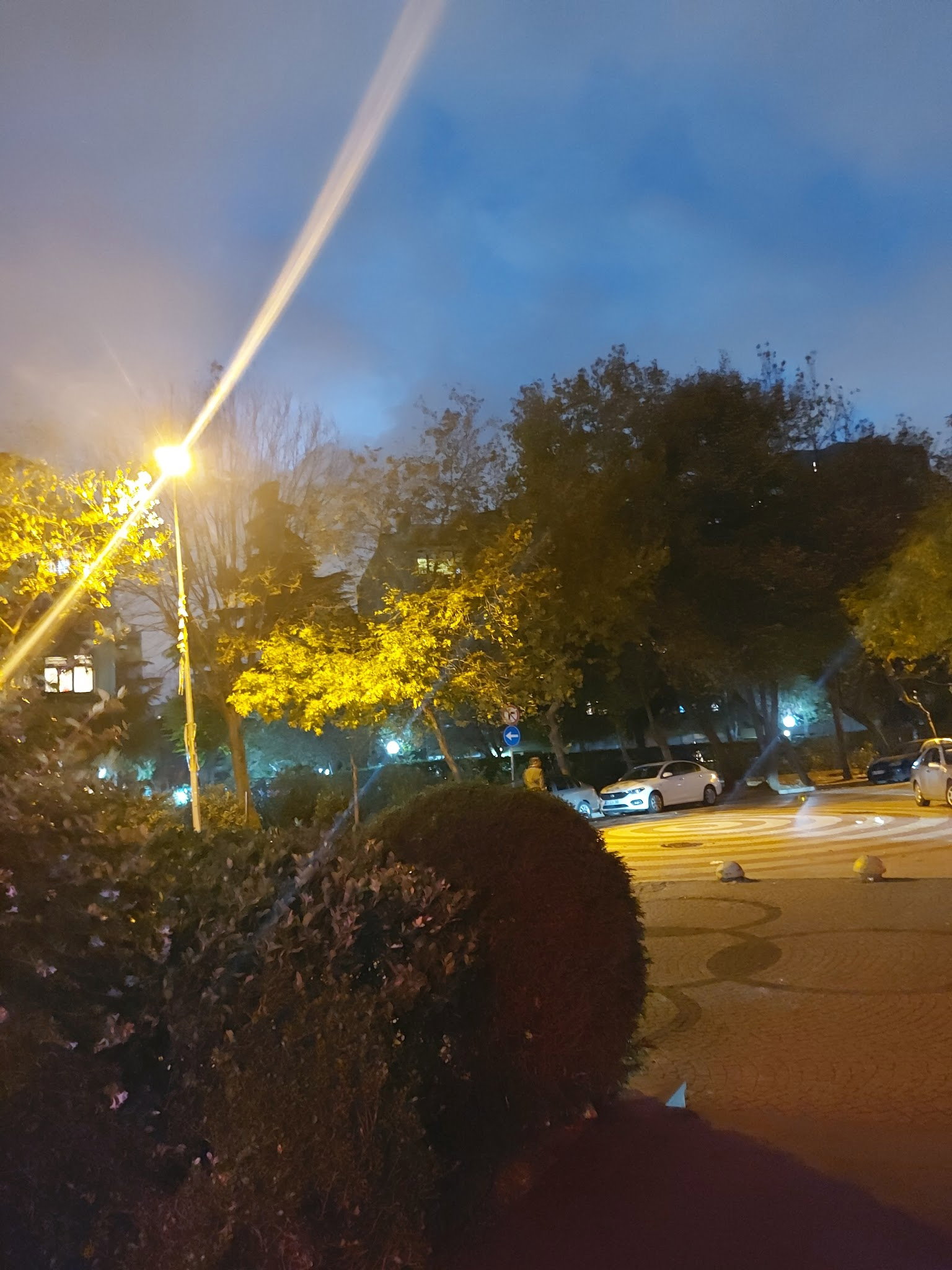 Chicken Suit, Ataköy Piliç Çevirme