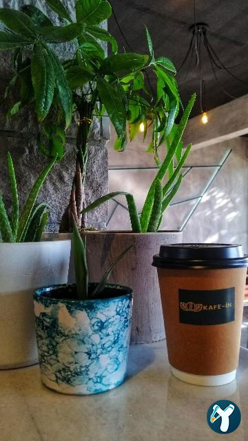 Kafe-İn
