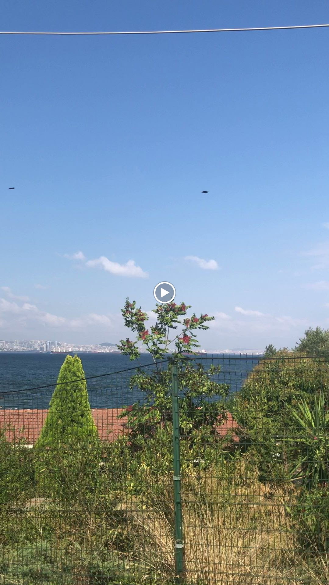 Taşfırın Lovemacunn