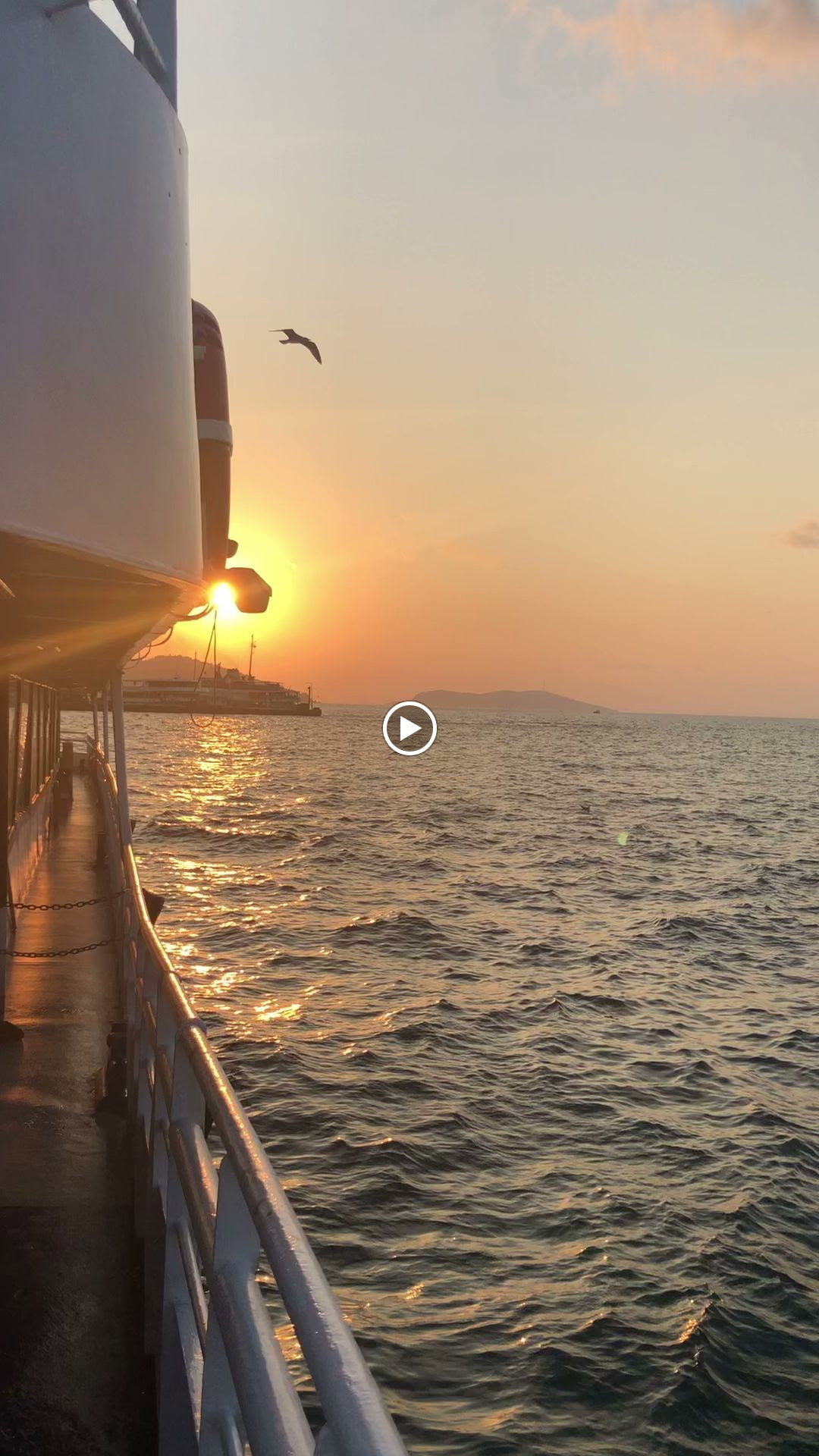 Taşfırın Lovemacunn