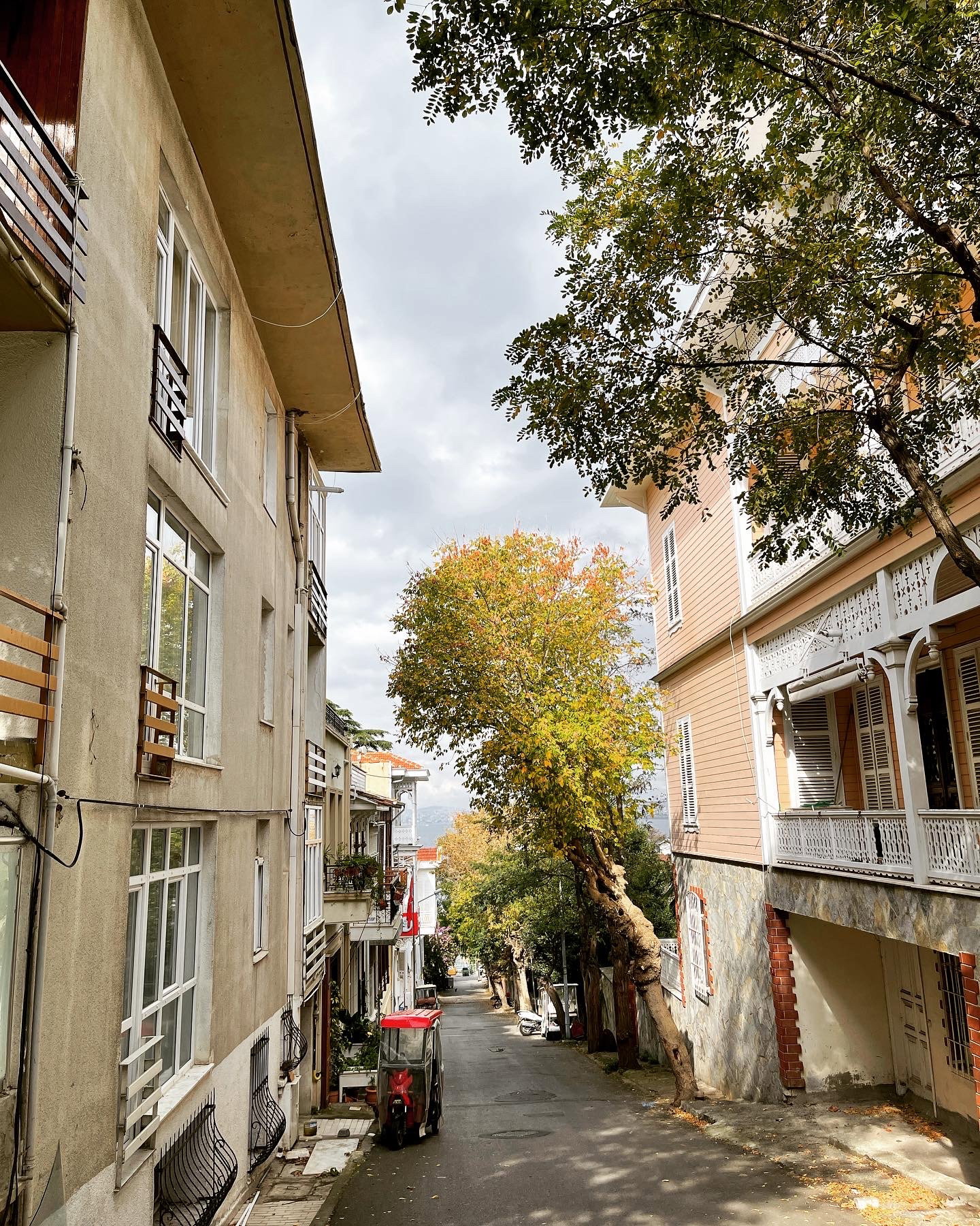 Taşfırın Lovemacunn