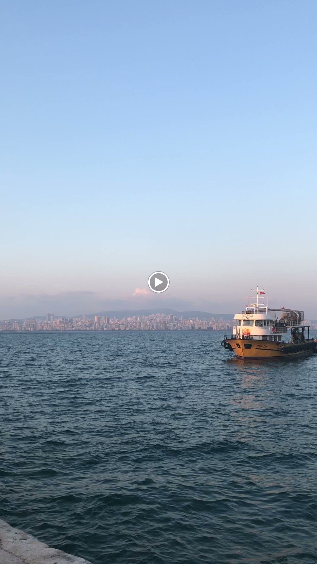 Taşfırın Lovemacunn