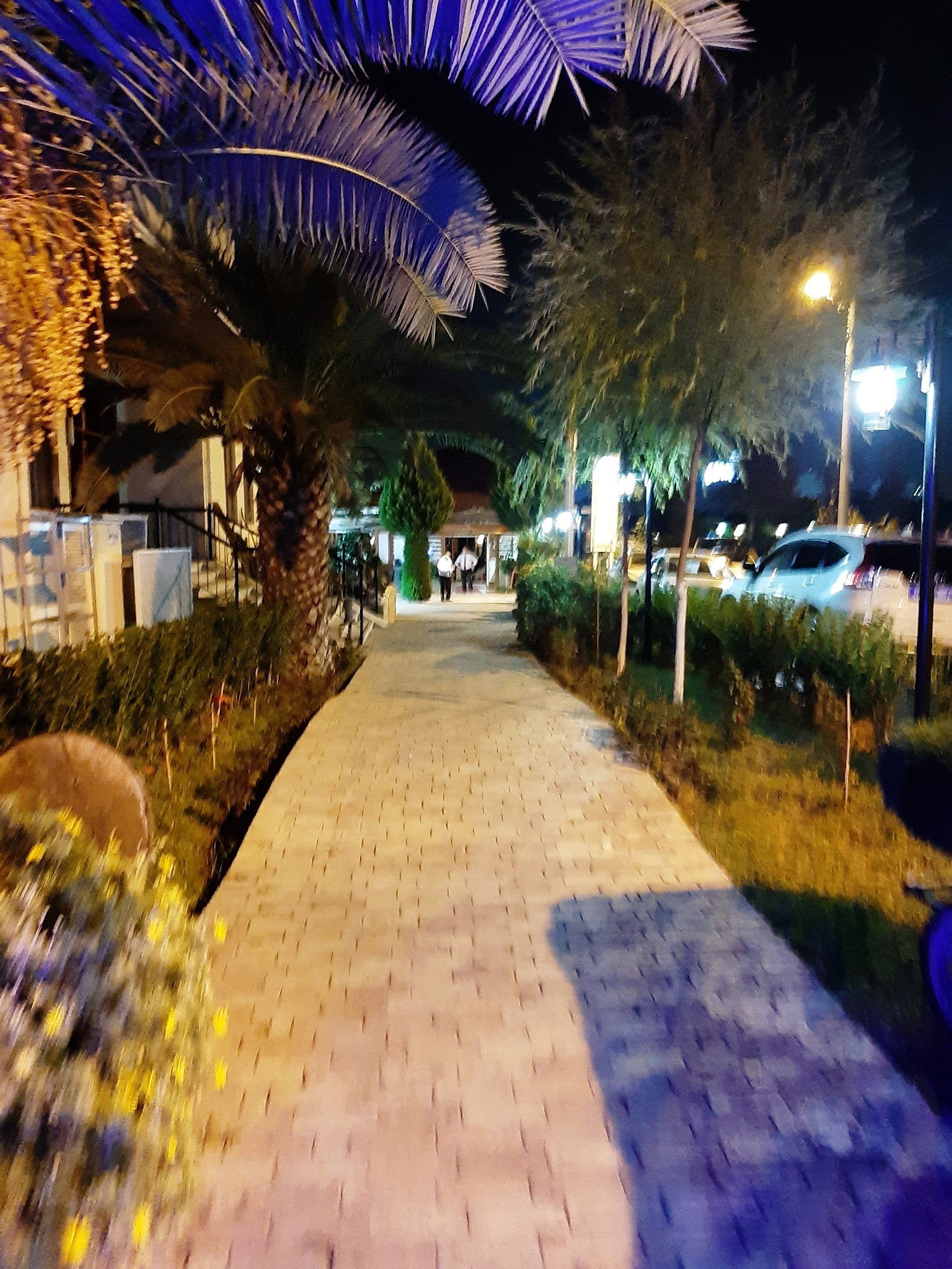 Çapa Balık Restoran