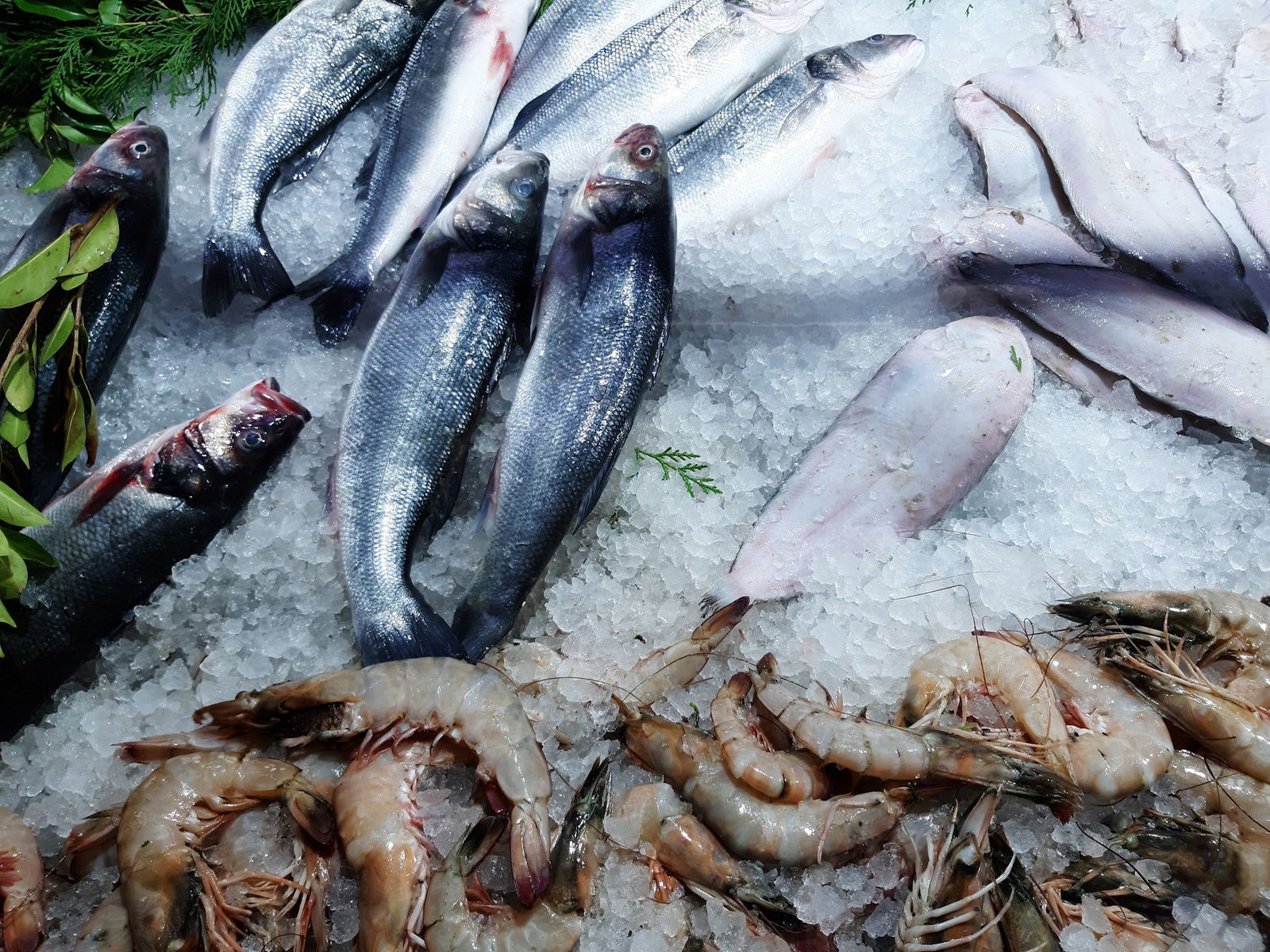 Çapa Balık Restoran