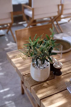 Morena Bodrum resimleri